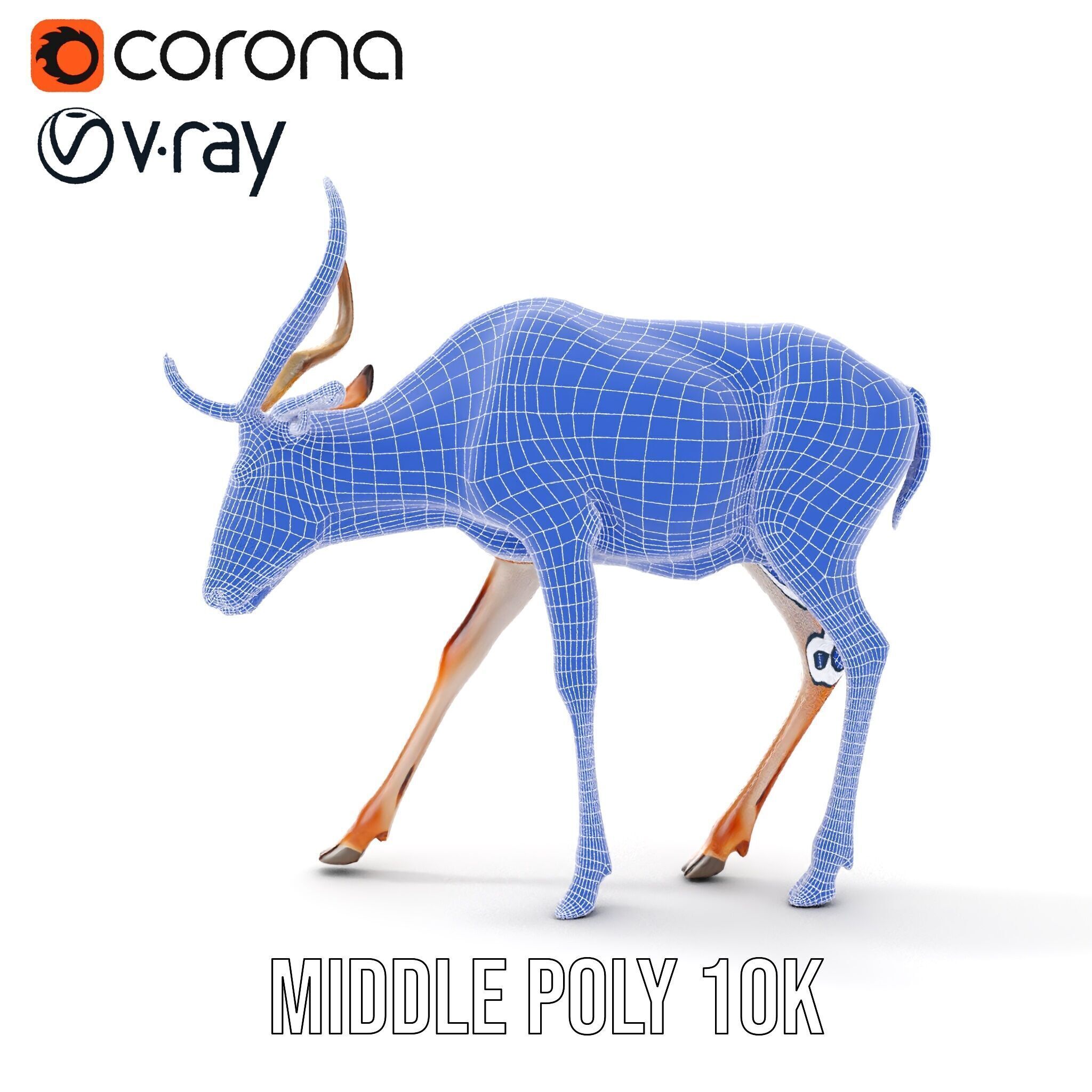 Elegant Buck Model Pack for Realistic Wildlife Scenes Low-poly 3D model_17