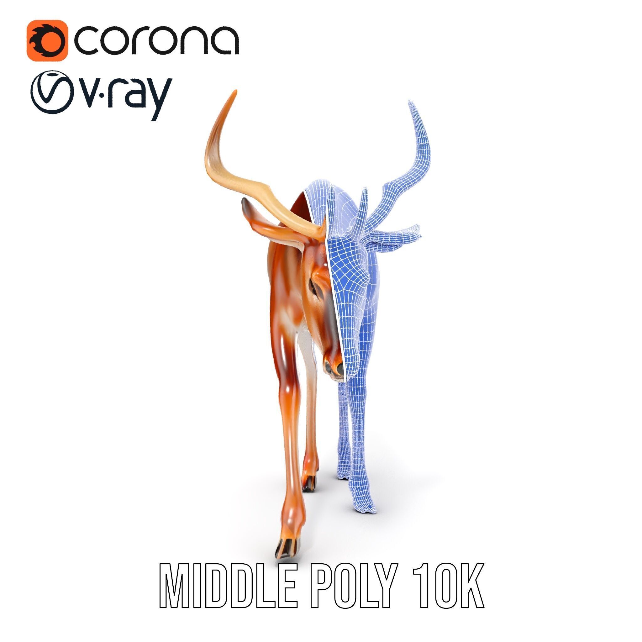 Elegant Buck Model Pack for Realistic Wildlife Scenes Low-poly 3D model_30