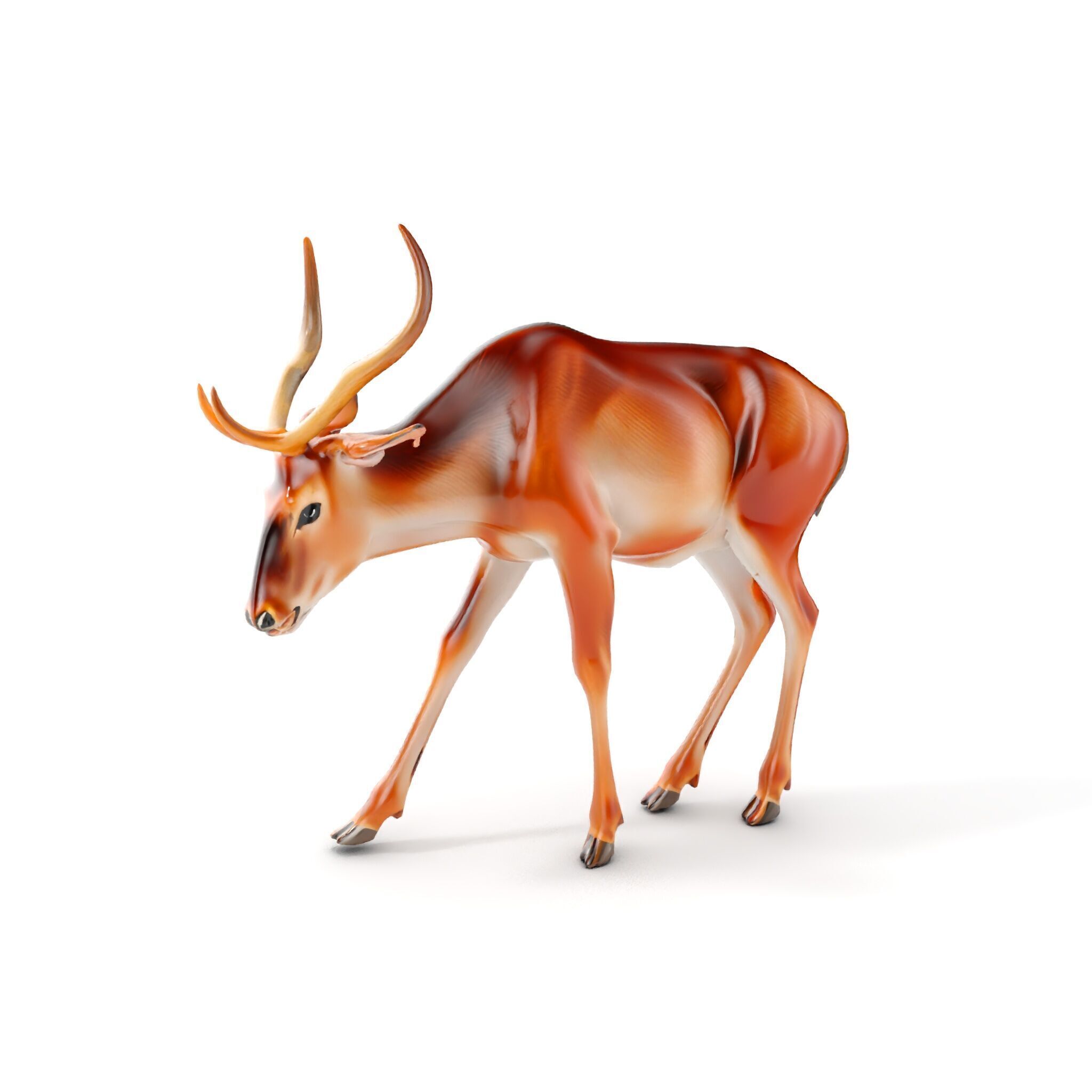 Elegant Buck Model Pack for Realistic Wildlife Scenes Low-poly 3D model_6