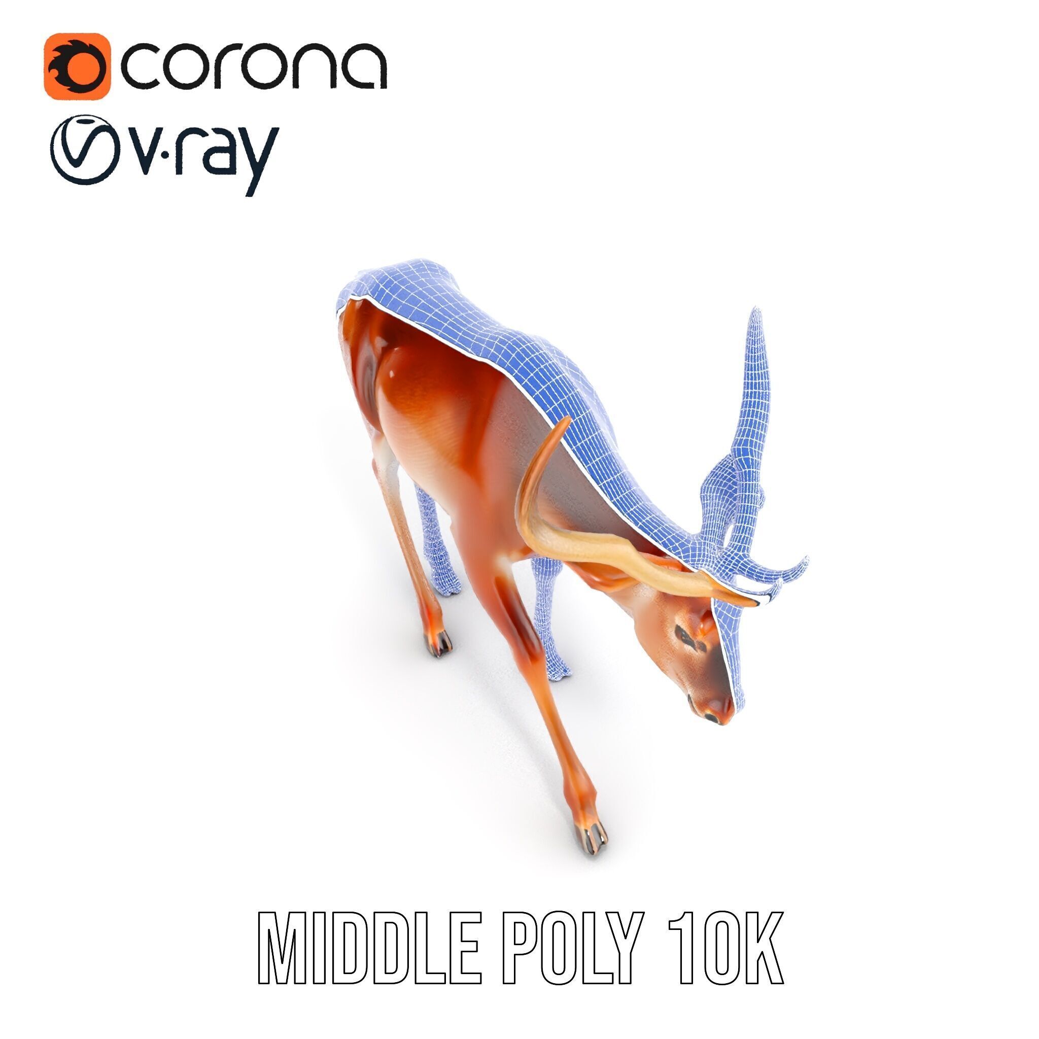 Elegant Buck Model Pack for Realistic Wildlife Scenes Low-poly 3D model_24