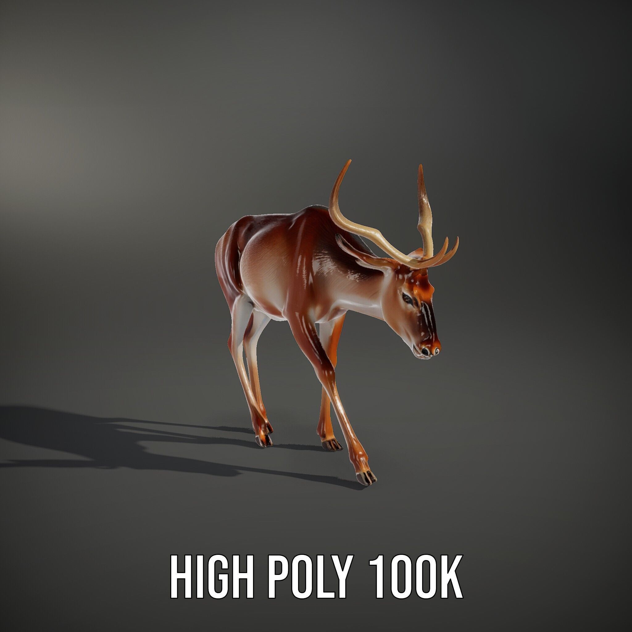 Elegant Buck Model Pack for Realistic Wildlife Scenes Low-poly 3D model_14