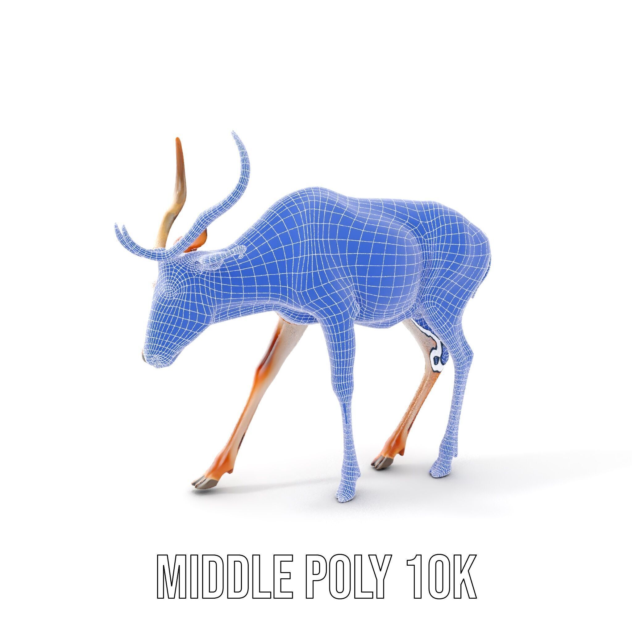 Elegant Buck Model Pack for Realistic Wildlife Scenes Low-poly 3D model_27