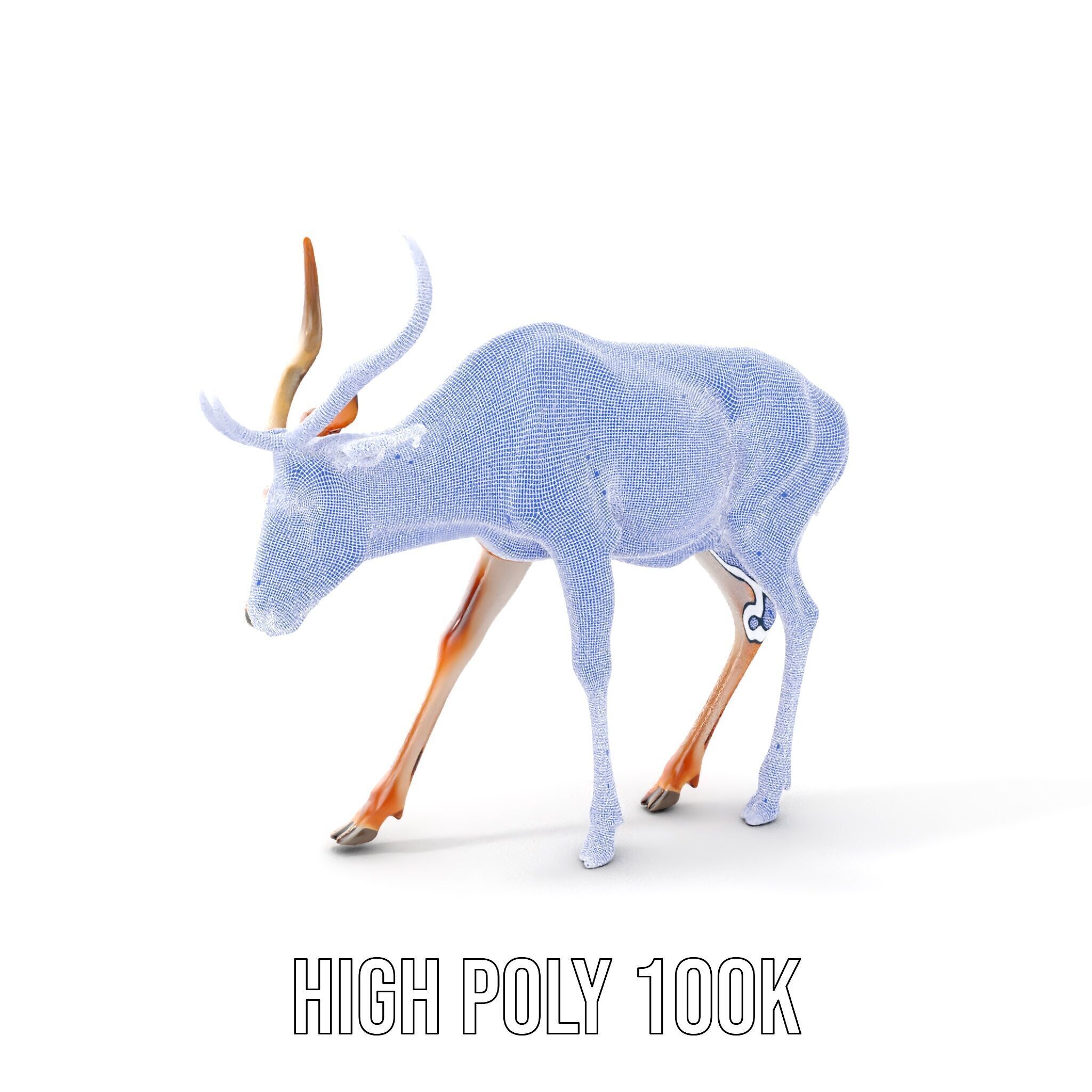 Elegant Buck Model Pack for Realistic Wildlife Scenes Low-poly 3D model_4