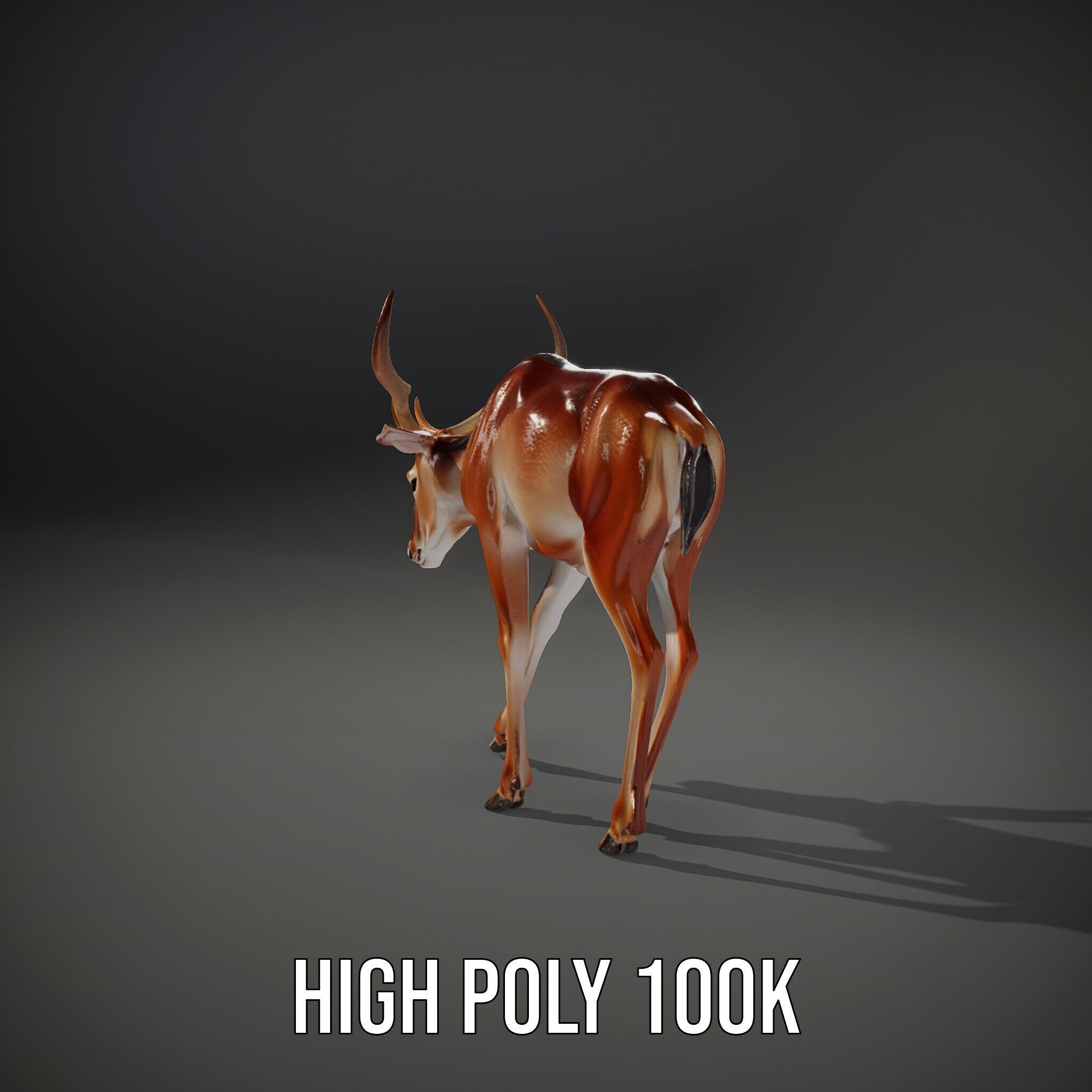 Elegant Buck Model Pack for Realistic Wildlife Scenes Low-poly 3D model_8