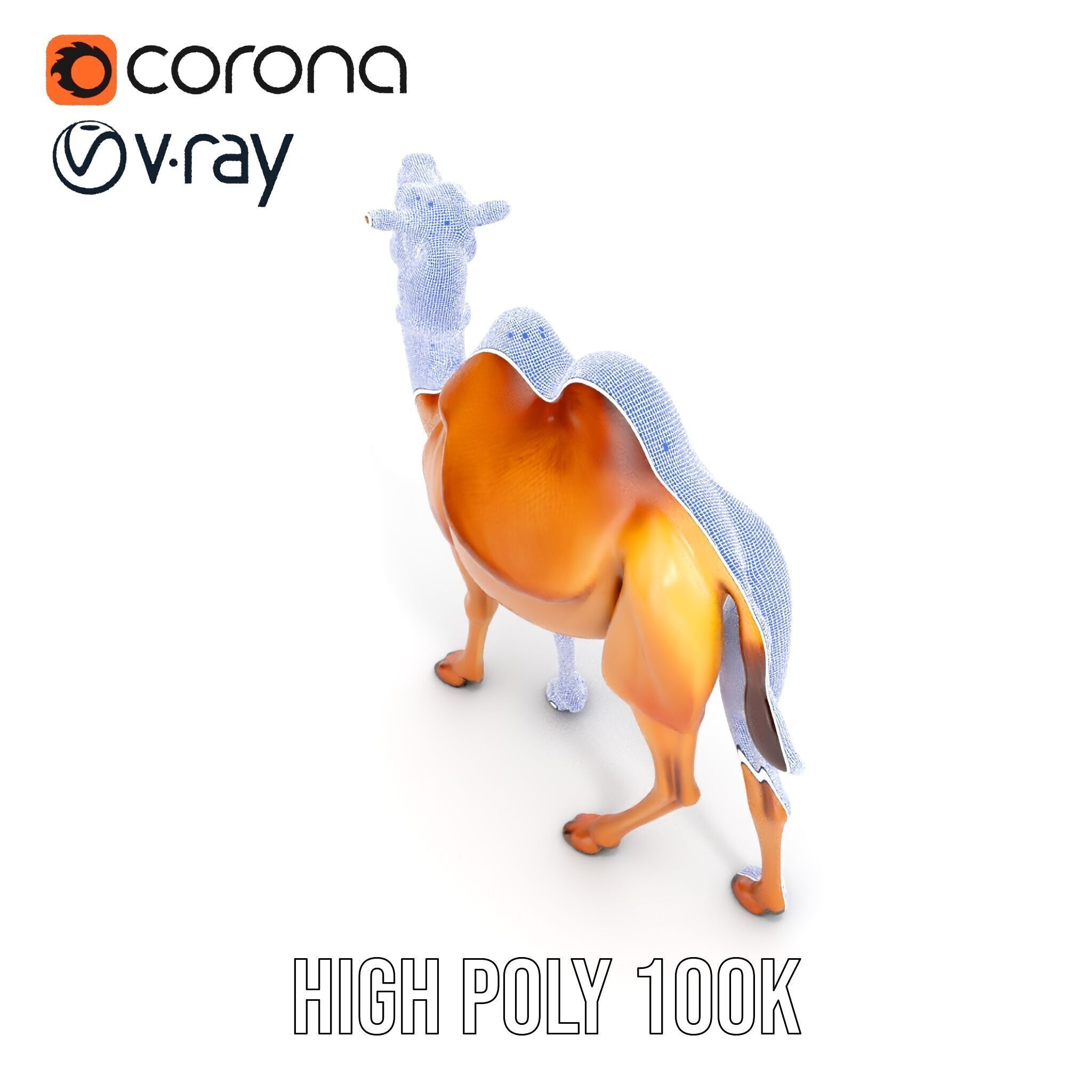 D Camel Model Pack with Detailed Fur Texture Low-poly 3D model_38