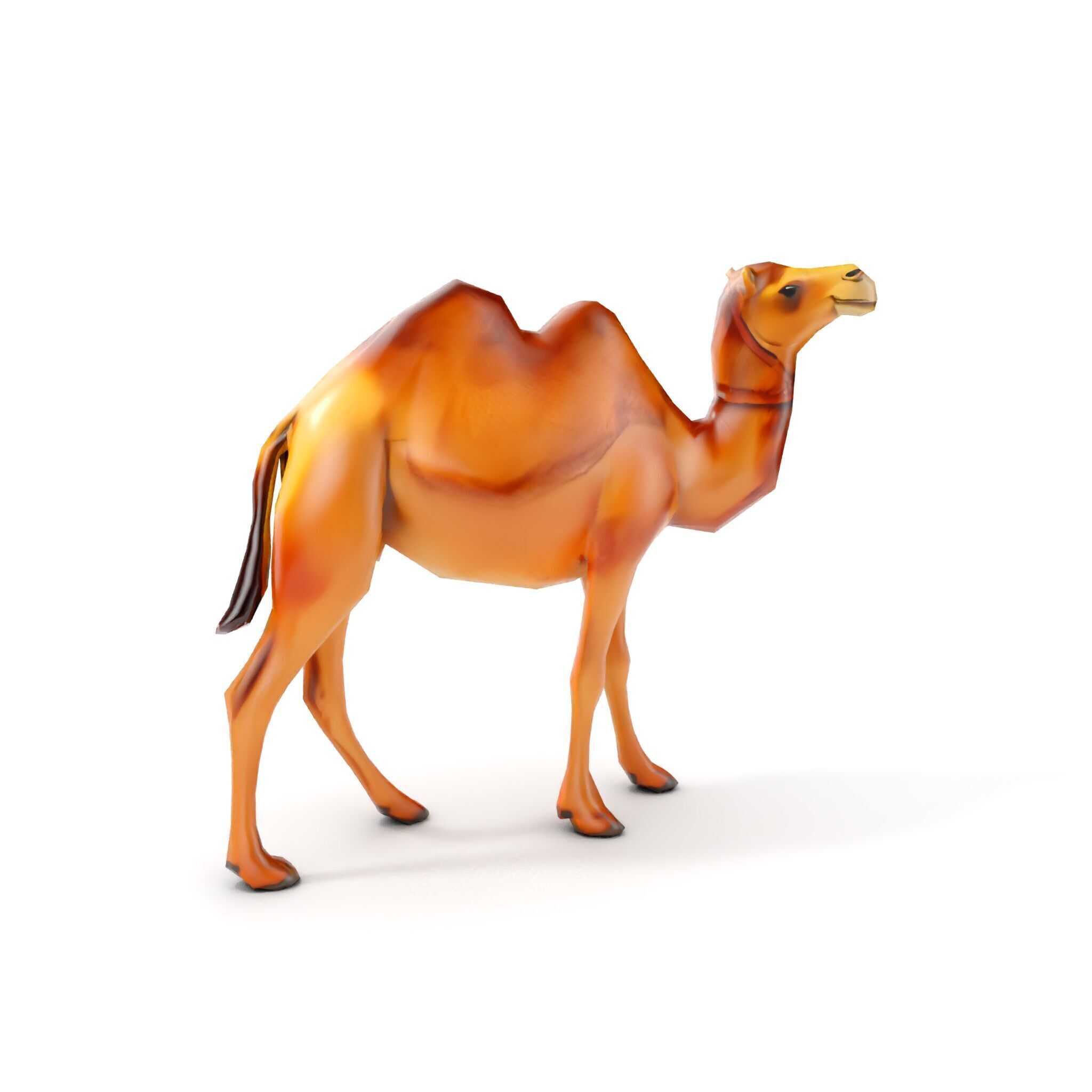 D Camel Model Pack with Detailed Fur Texture Low-poly 3D model_11