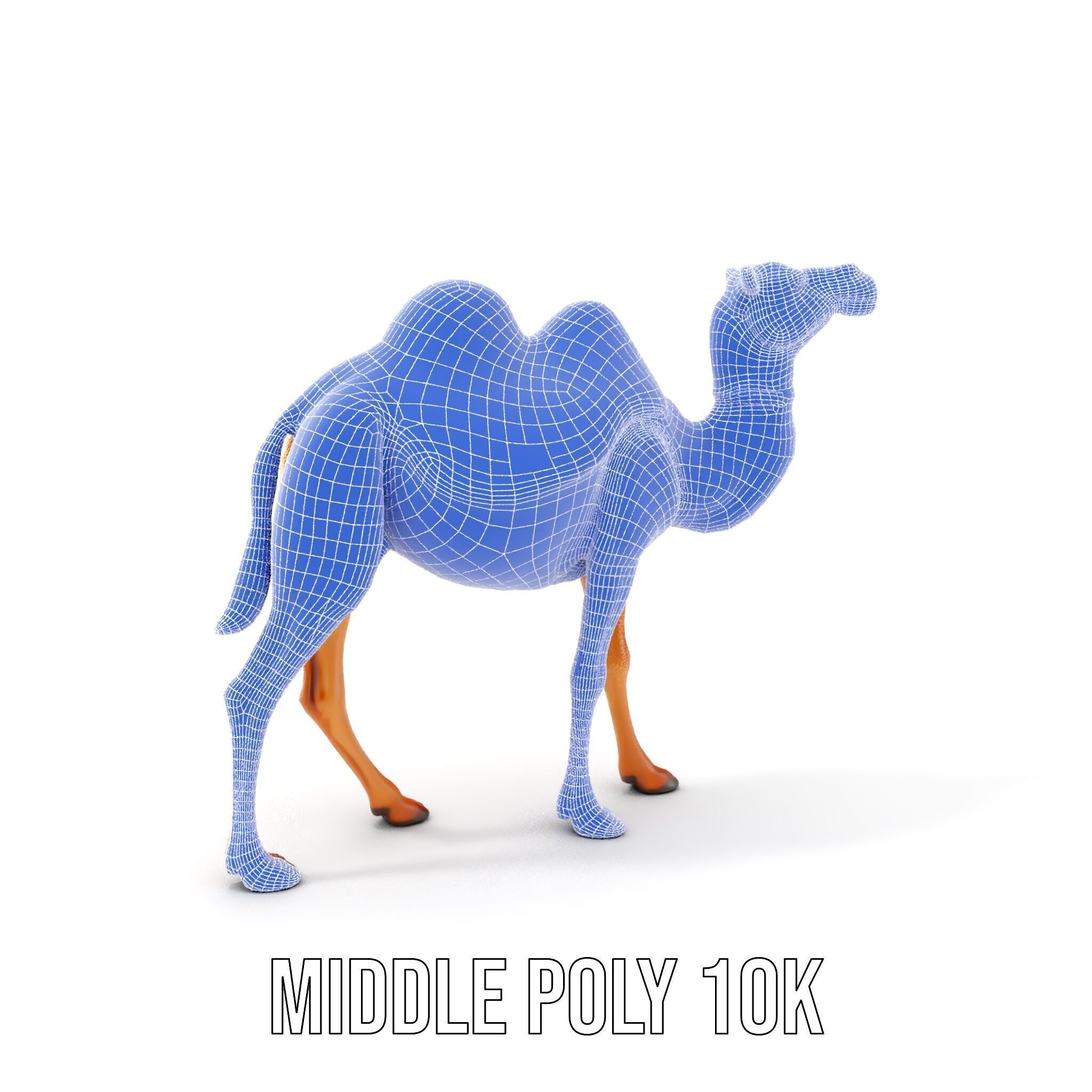 D Camel Model Pack with Detailed Fur Texture Low-poly 3D model_16