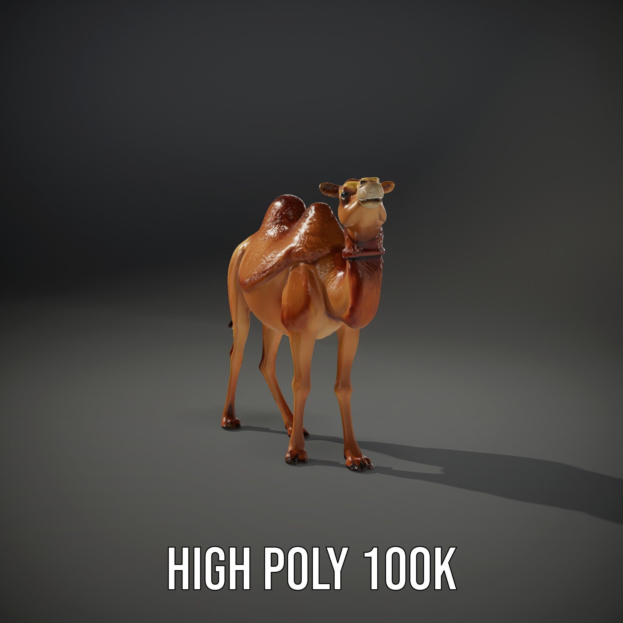 D Camel Model Pack with Detailed Fur Texture Low-poly 3D model_15