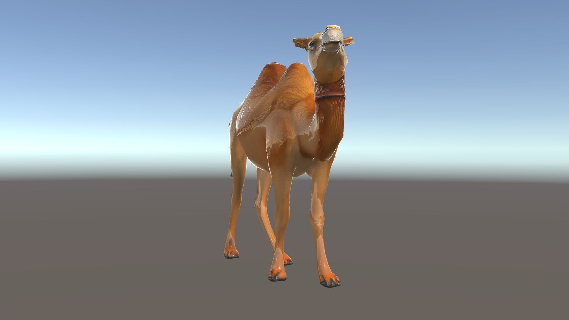 D Camel Model Pack with Detailed Fur Texture Low-poly 3D model_35