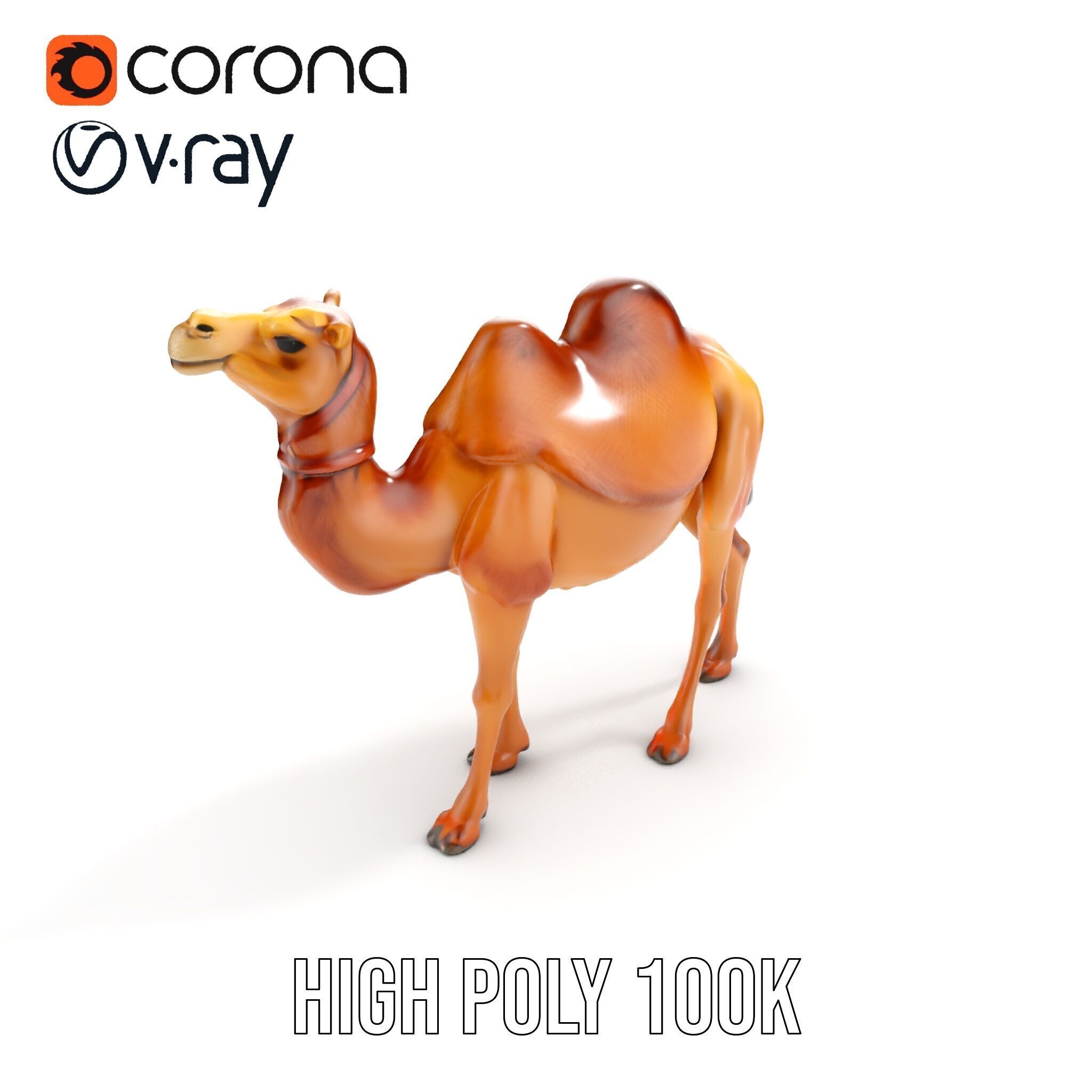 D Camel Model Pack with Detailed Fur Texture Low-poly 3D model_33