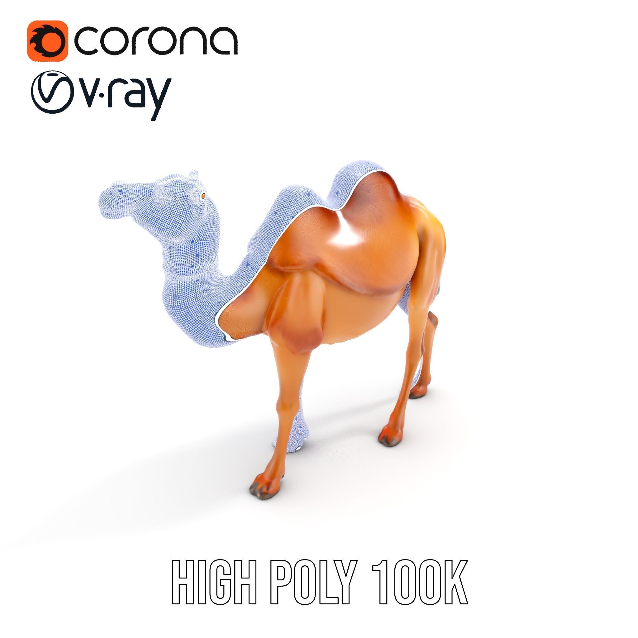 D Camel Model Pack with Detailed Fur Texture Low-poly 3D model_36