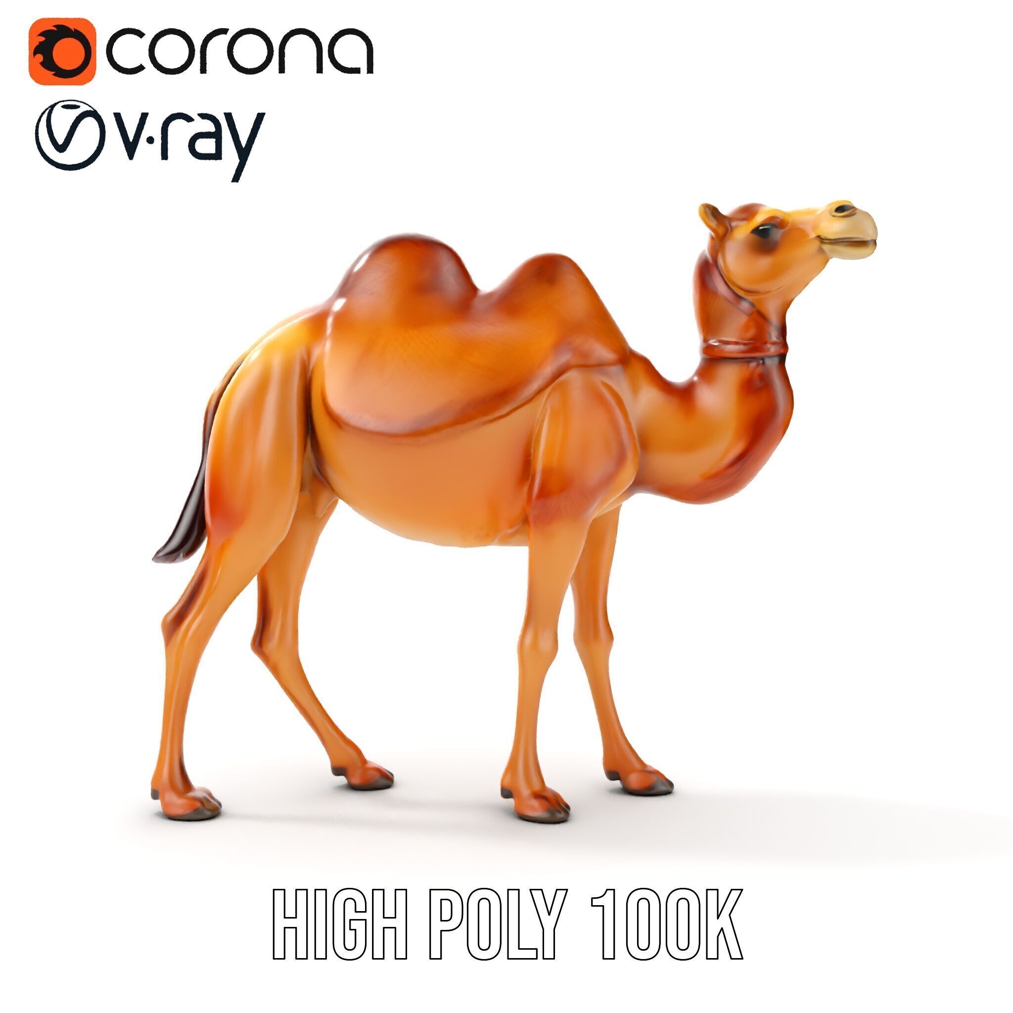 D Camel Model Pack with Detailed Fur Texture Low-poly 3D model_22