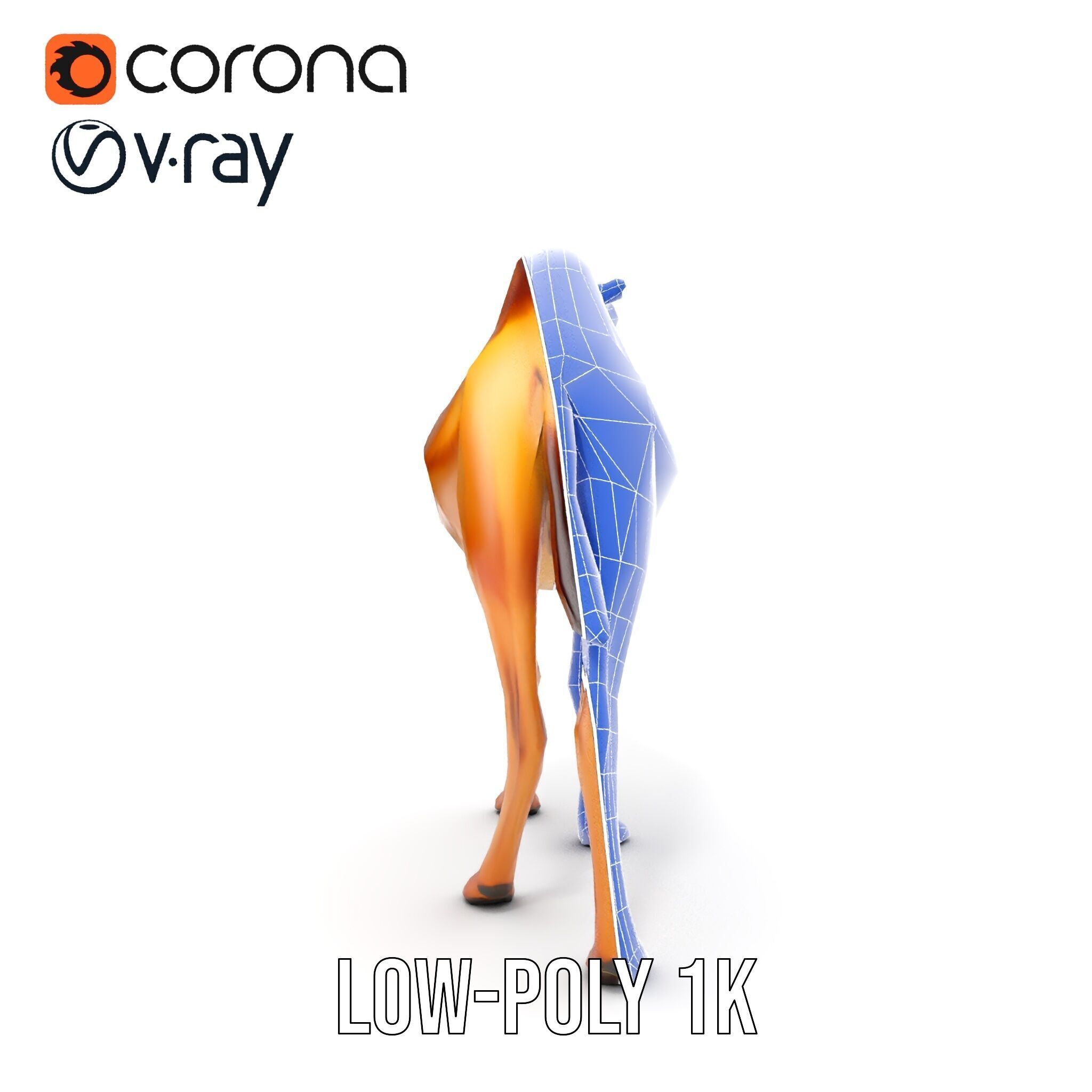 D Camel Model Pack with Detailed Fur Texture Low-poly 3D model_24
