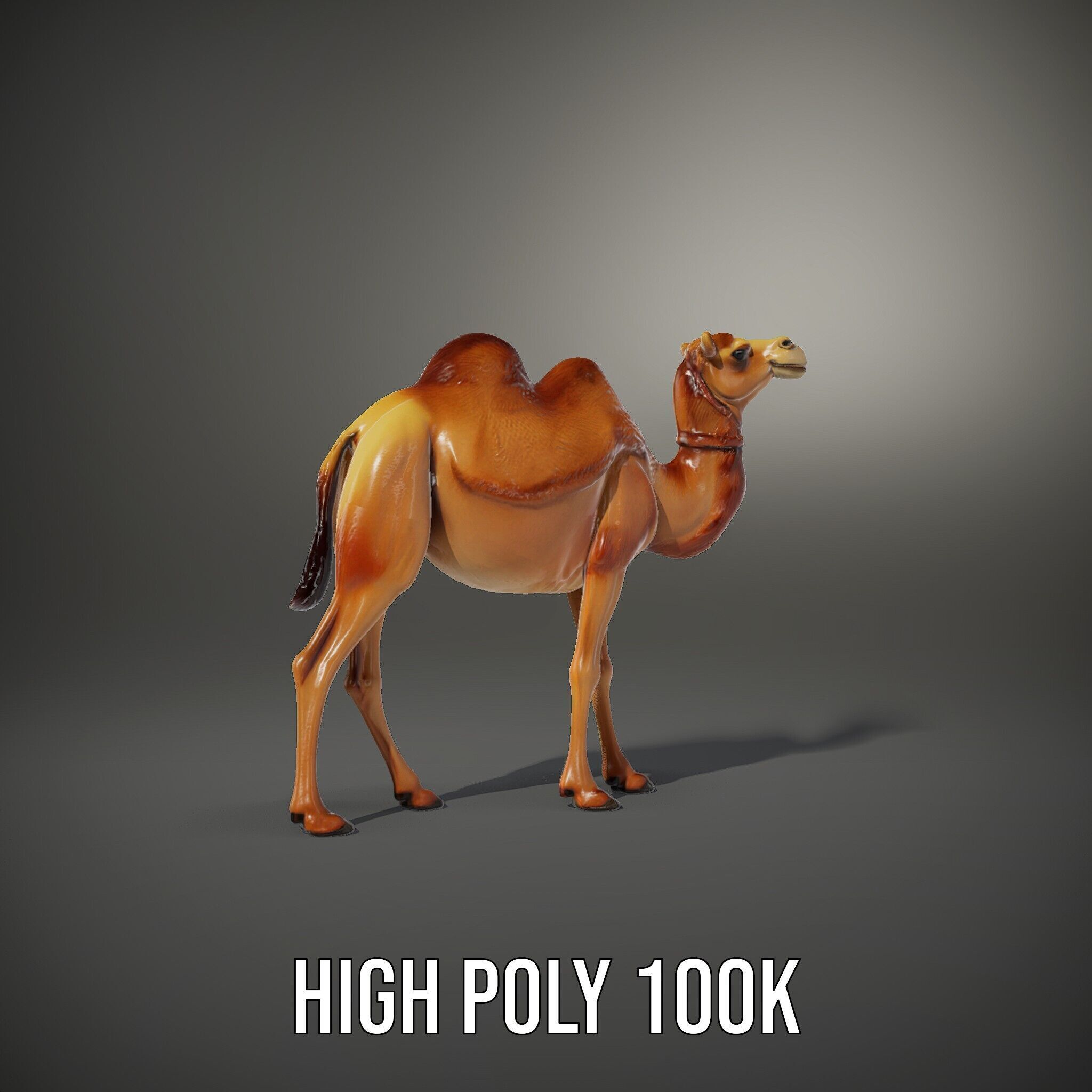 D Camel Model Pack with Detailed Fur Texture Low-poly 3D model_9