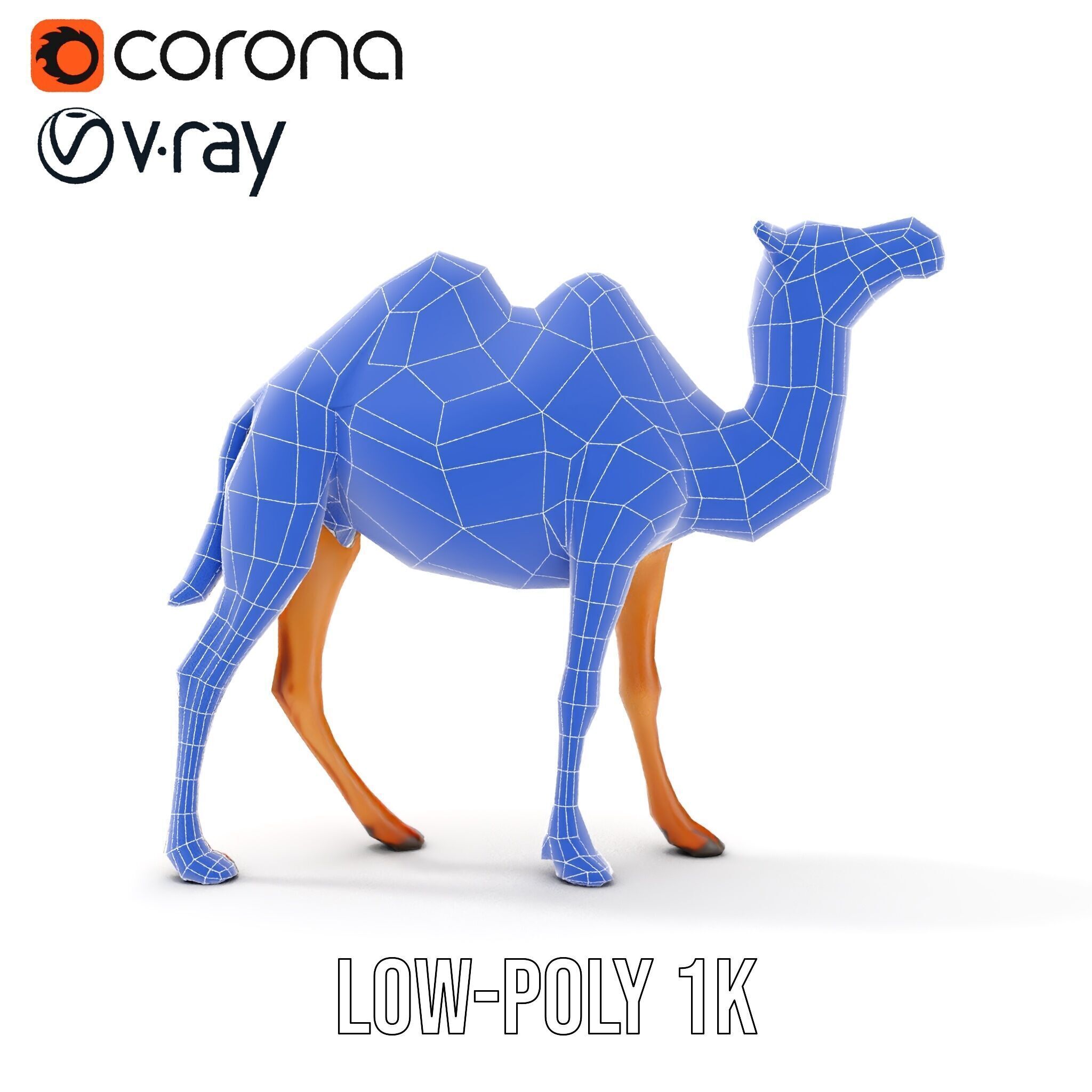 D Camel Model Pack with Detailed Fur Texture Low-poly 3D model_30