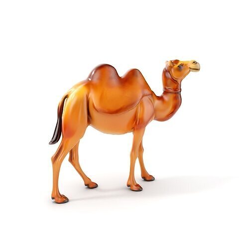 D Camel Model Pack with Detailed Fur Texture Low-poly 3D model