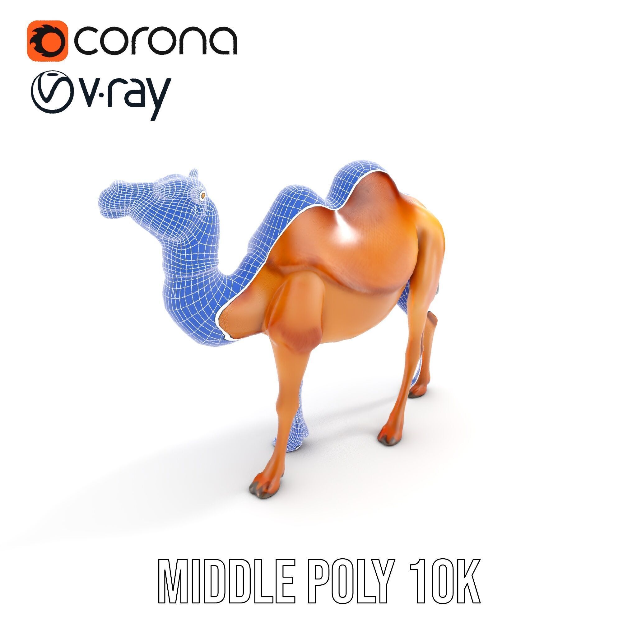 D Camel Model Pack with Detailed Fur Texture Low-poly 3D model_23