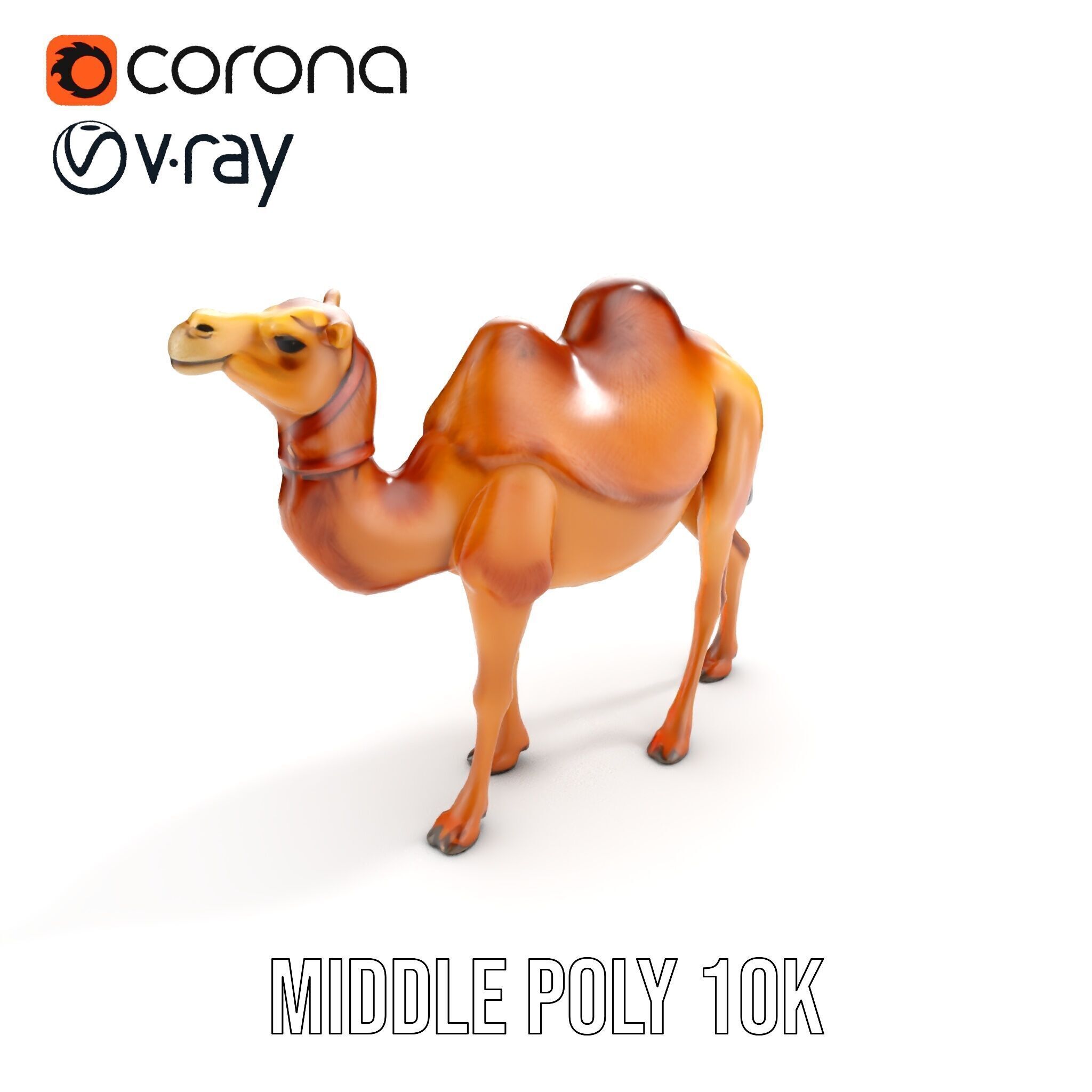 D Camel Model Pack with Detailed Fur Texture Low-poly 3D model_10