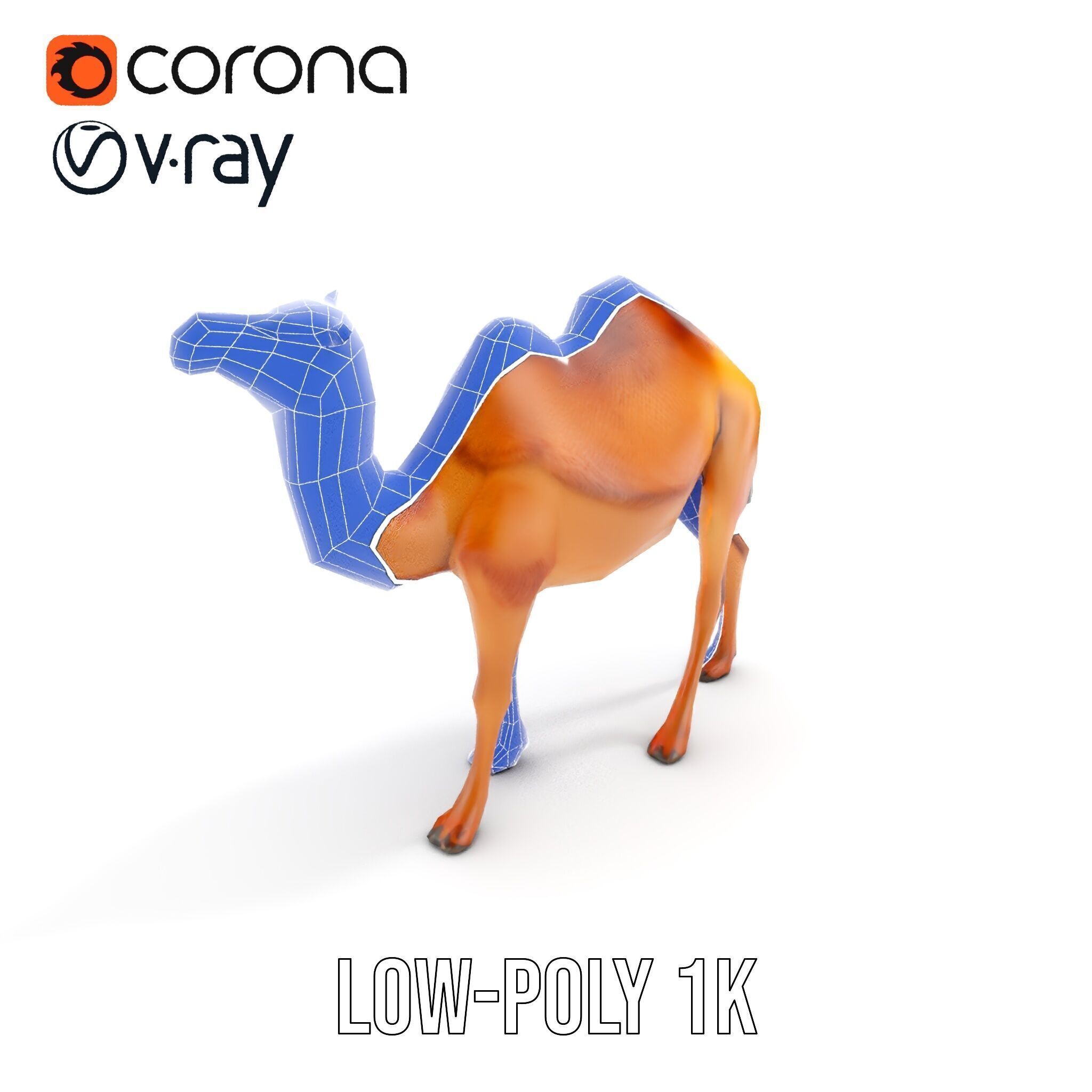 D Camel Model Pack with Detailed Fur Texture Low-poly 3D model_27