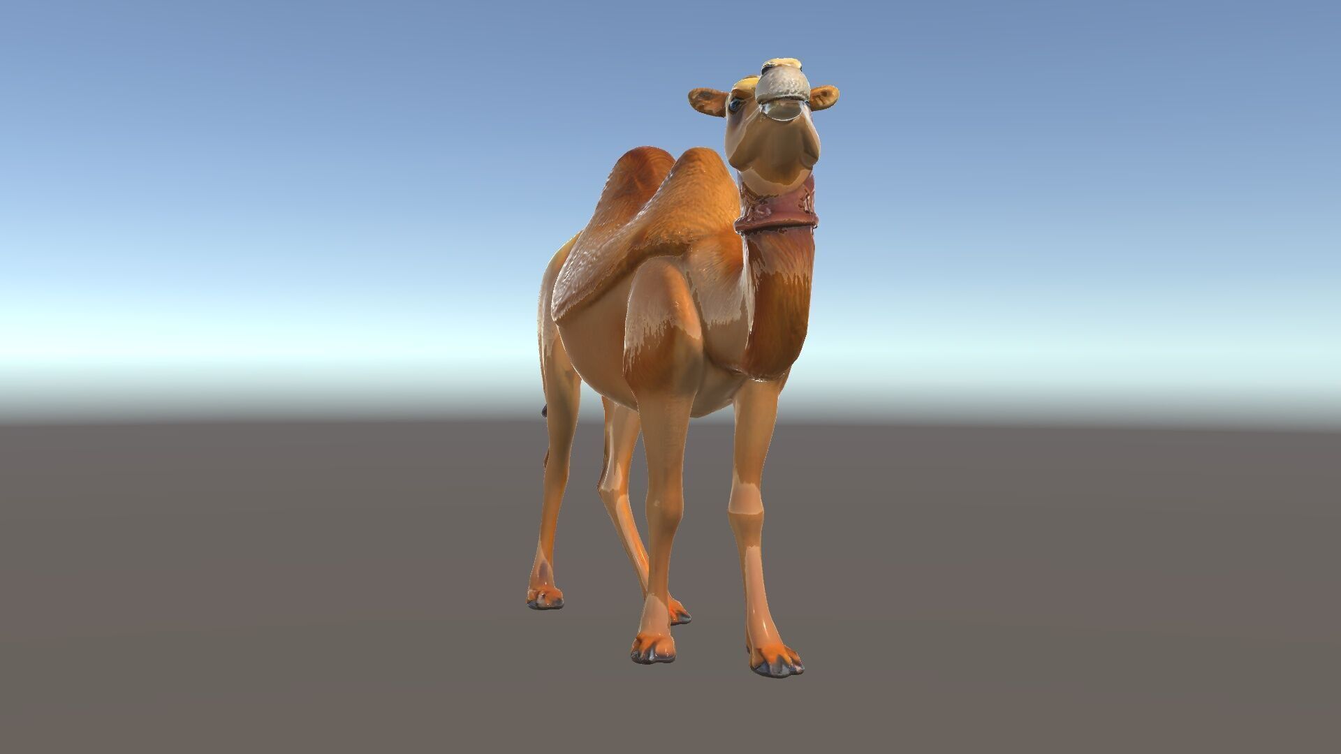 D Camel Model Pack with Detailed Fur Texture Low-poly 3D model_34