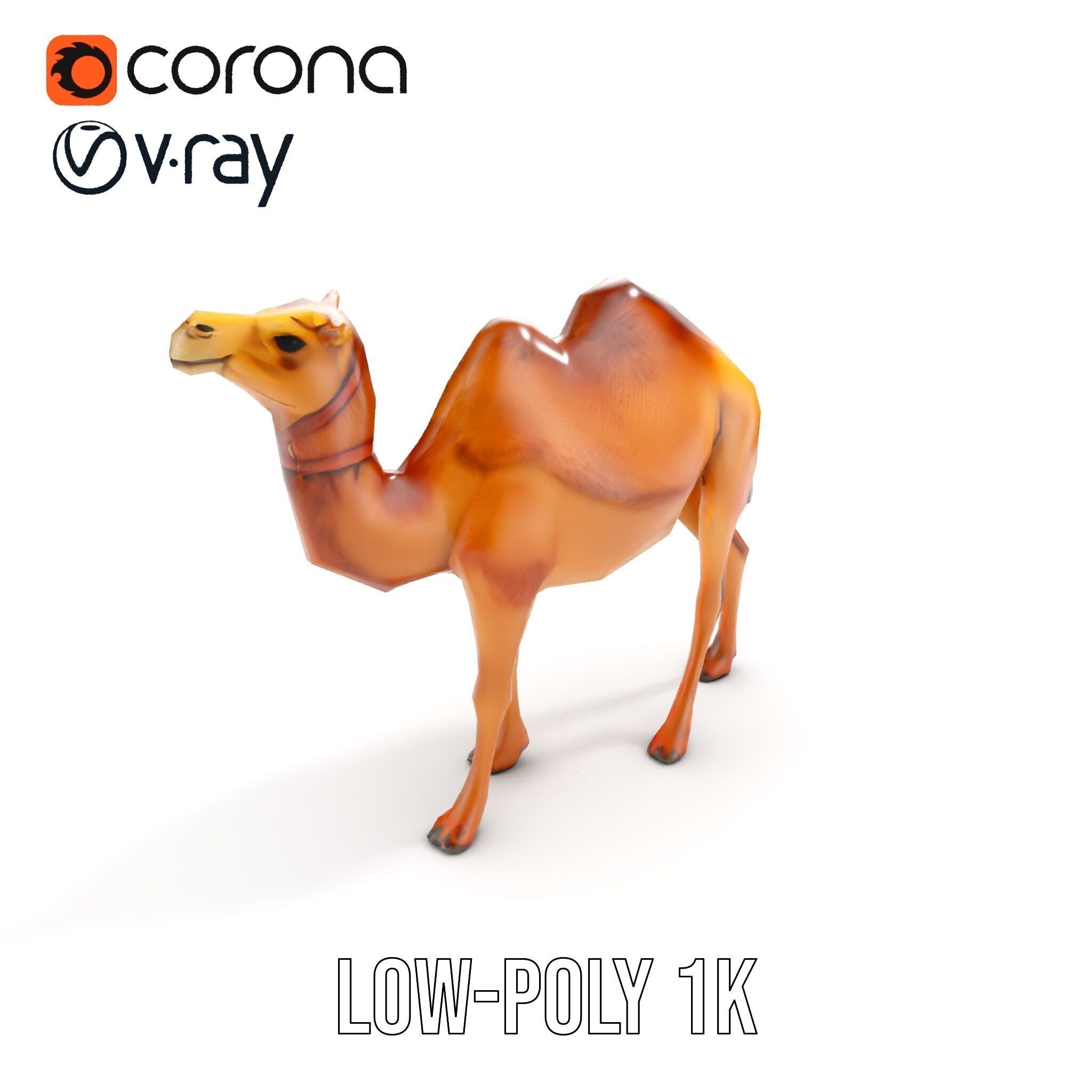 D Camel Model Pack with Detailed Fur Texture Low-poly 3D model_19
