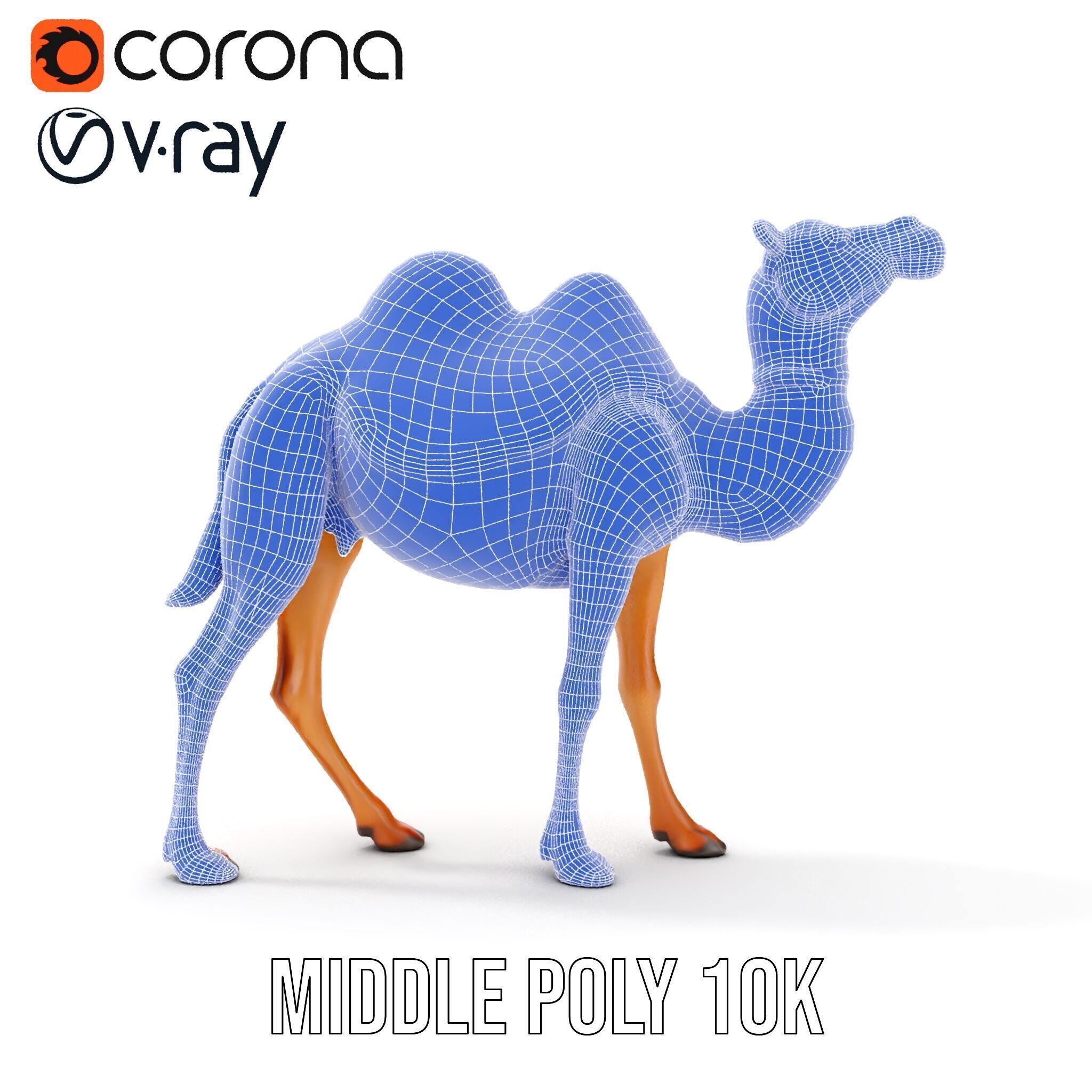 D Camel Model Pack with Detailed Fur Texture Low-poly 3D model_29