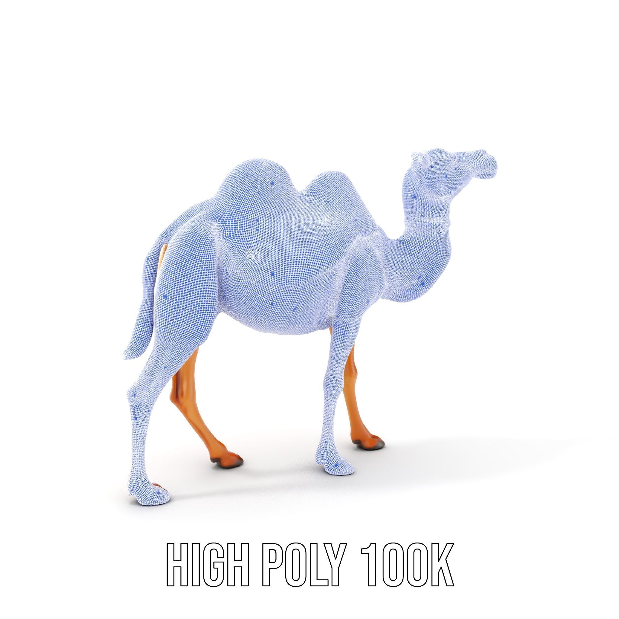 D Camel Model Pack with Detailed Fur Texture Low-poly 3D model_5