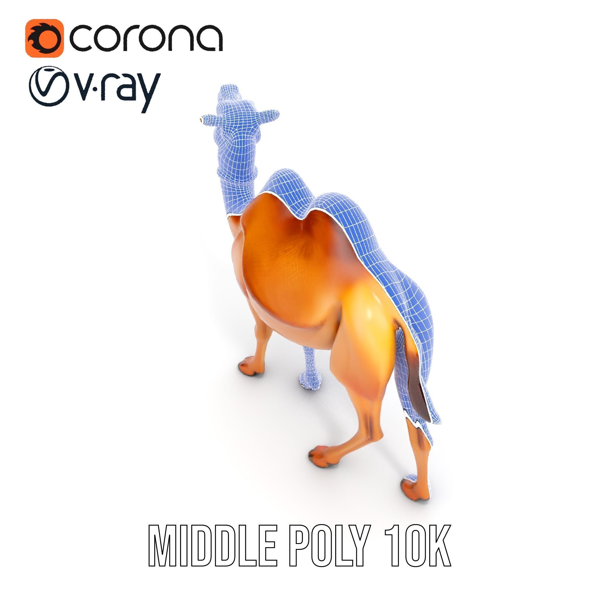 D Camel Model Pack with Detailed Fur Texture Low-poly 3D model_26
