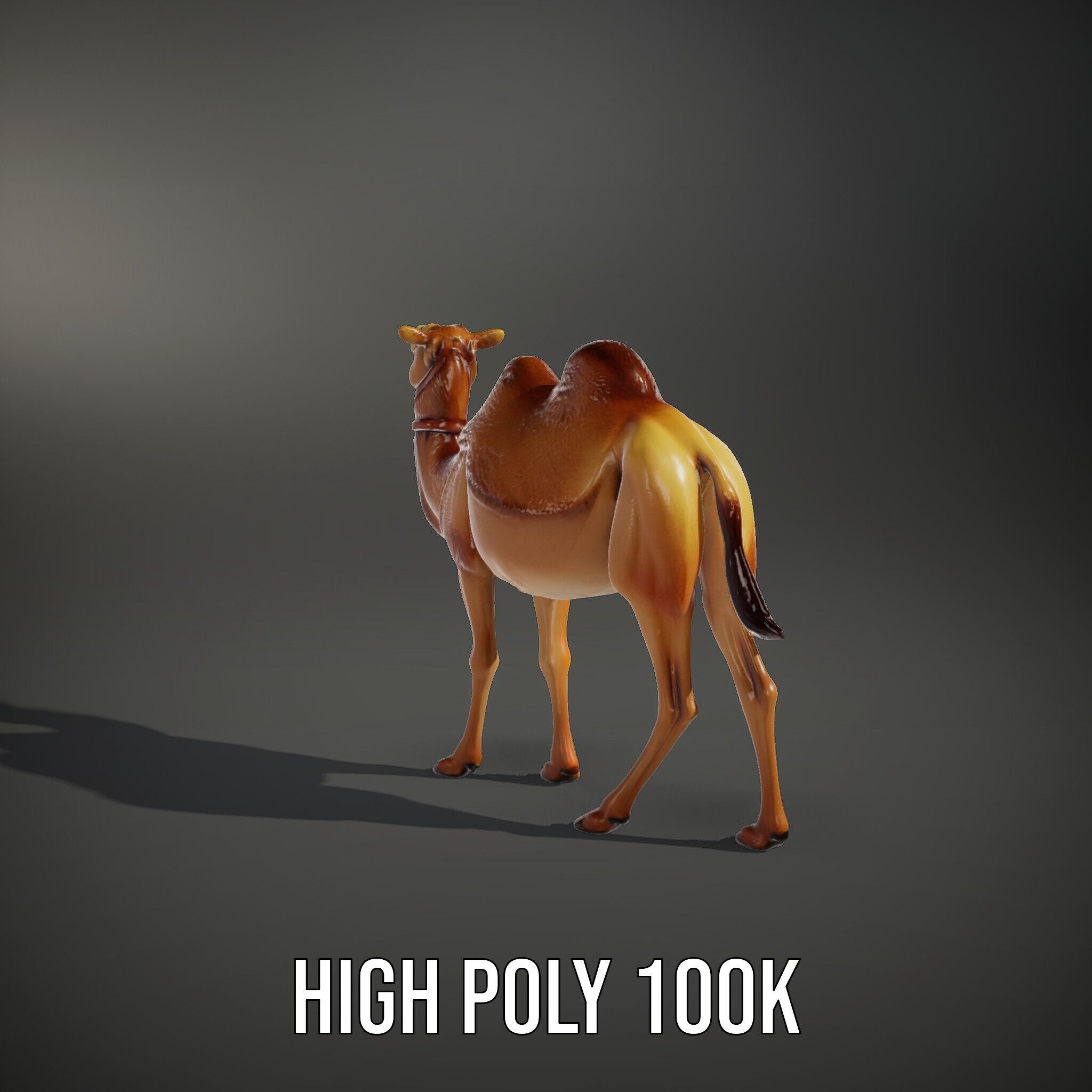 D Camel Model Pack with Detailed Fur Texture Low-poly 3D model_12