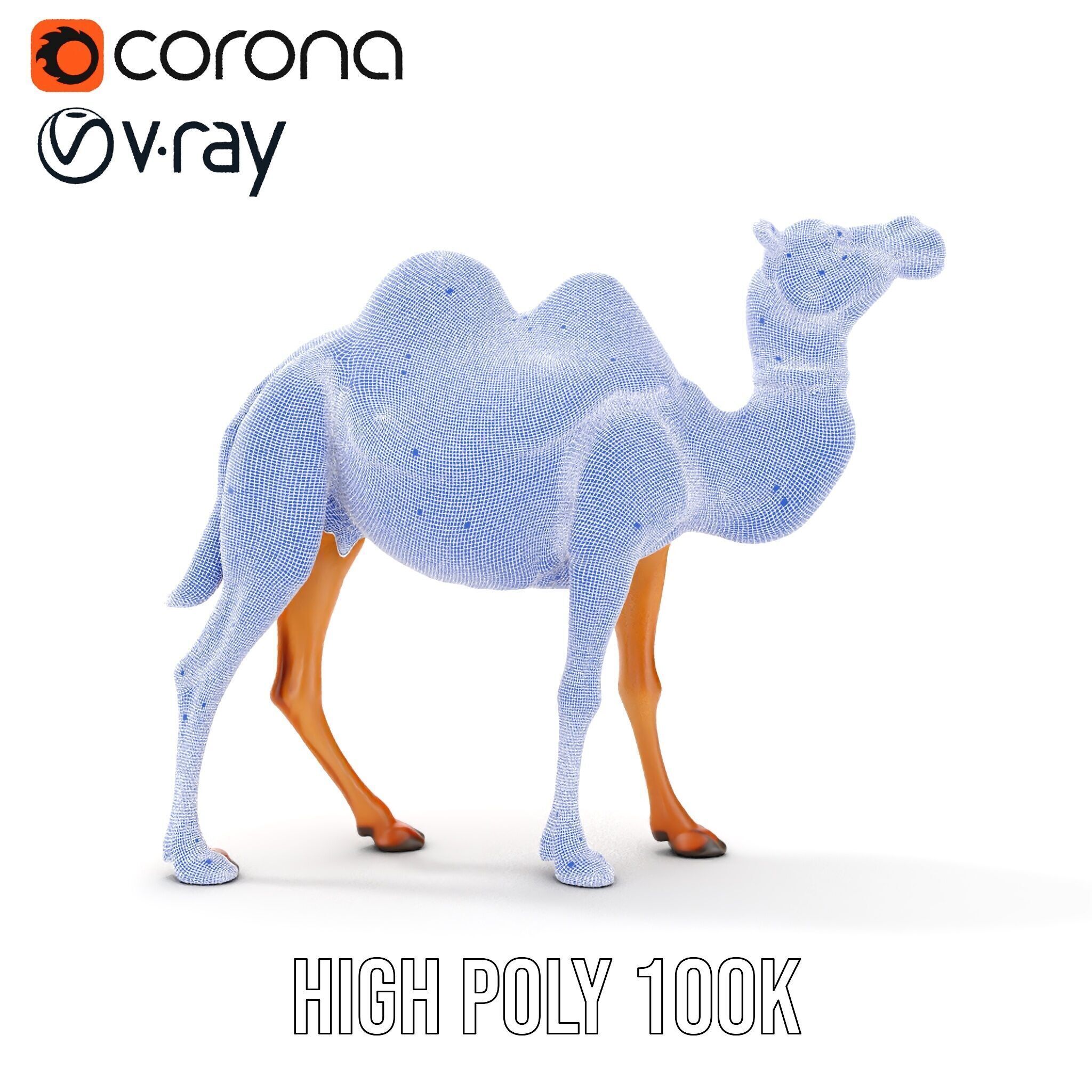D Camel Model Pack with Detailed Fur Texture Low-poly 3D model_39
