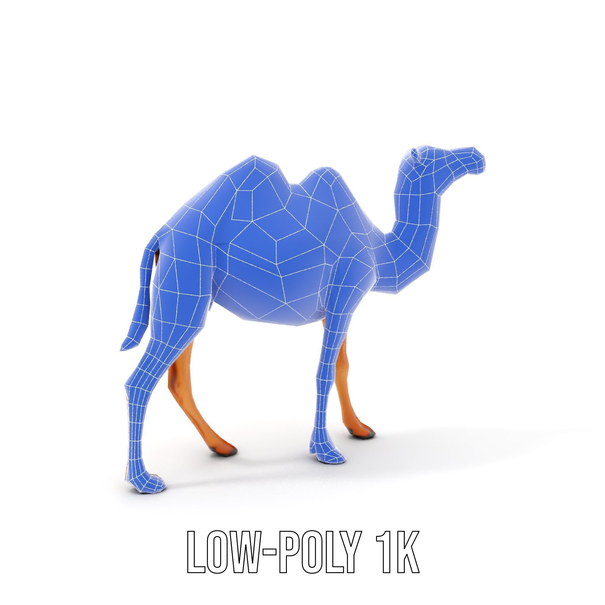 D Camel Model Pack with Detailed Fur Texture Low-poly 3D model_17