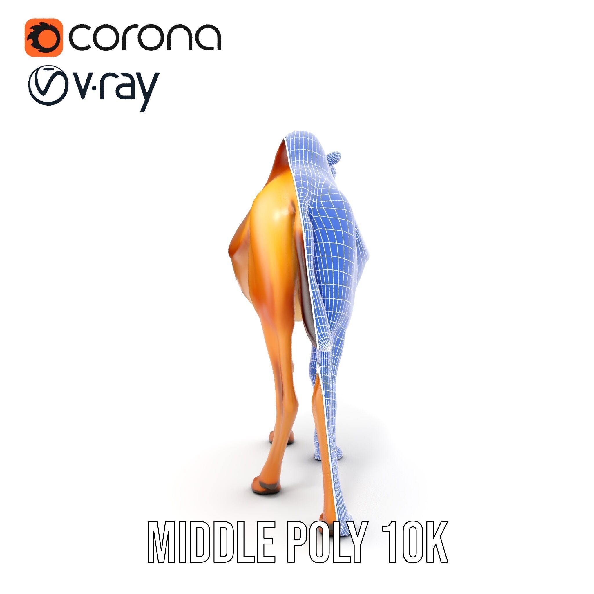 D Camel Model Pack with Detailed Fur Texture Low-poly 3D model_31