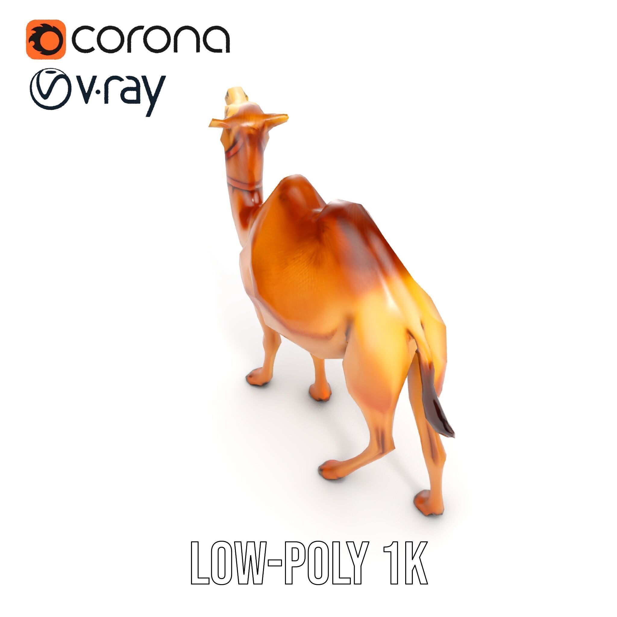 D Camel Model Pack with Detailed Fur Texture Low-poly 3D model_8