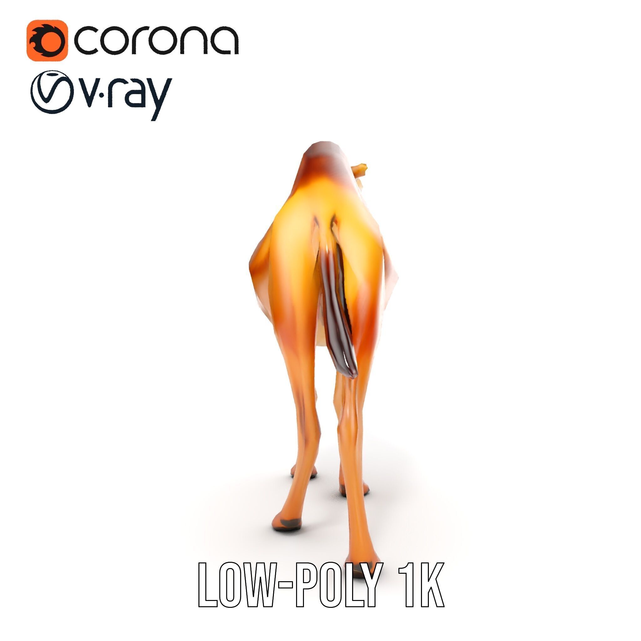 D Camel Model Pack with Detailed Fur Texture Low-poly 3D model_21