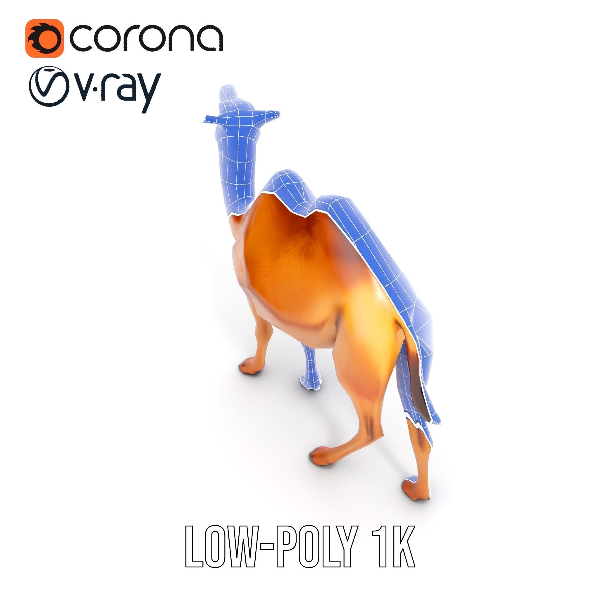 D Camel Model Pack with Detailed Fur Texture Low-poly 3D model_32