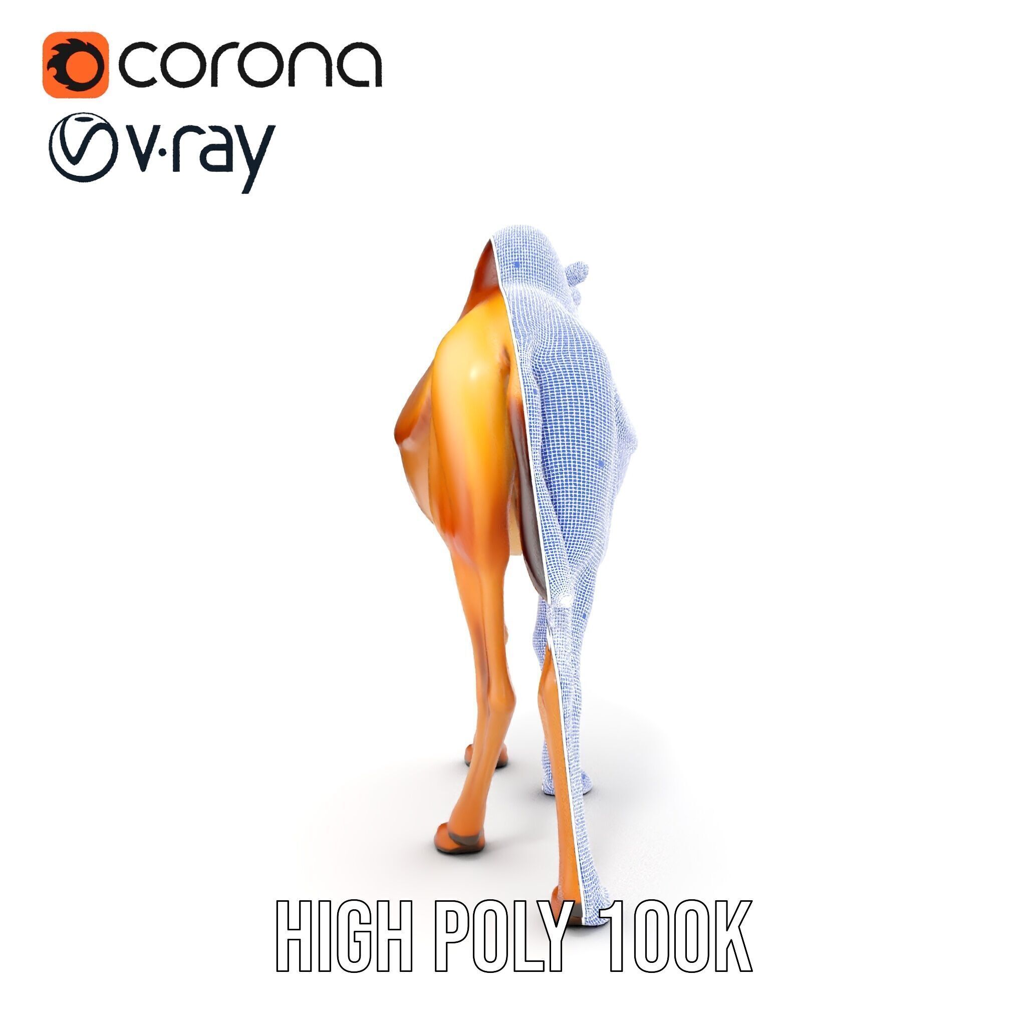 D Camel Model Pack with Detailed Fur Texture Low-poly 3D model_37