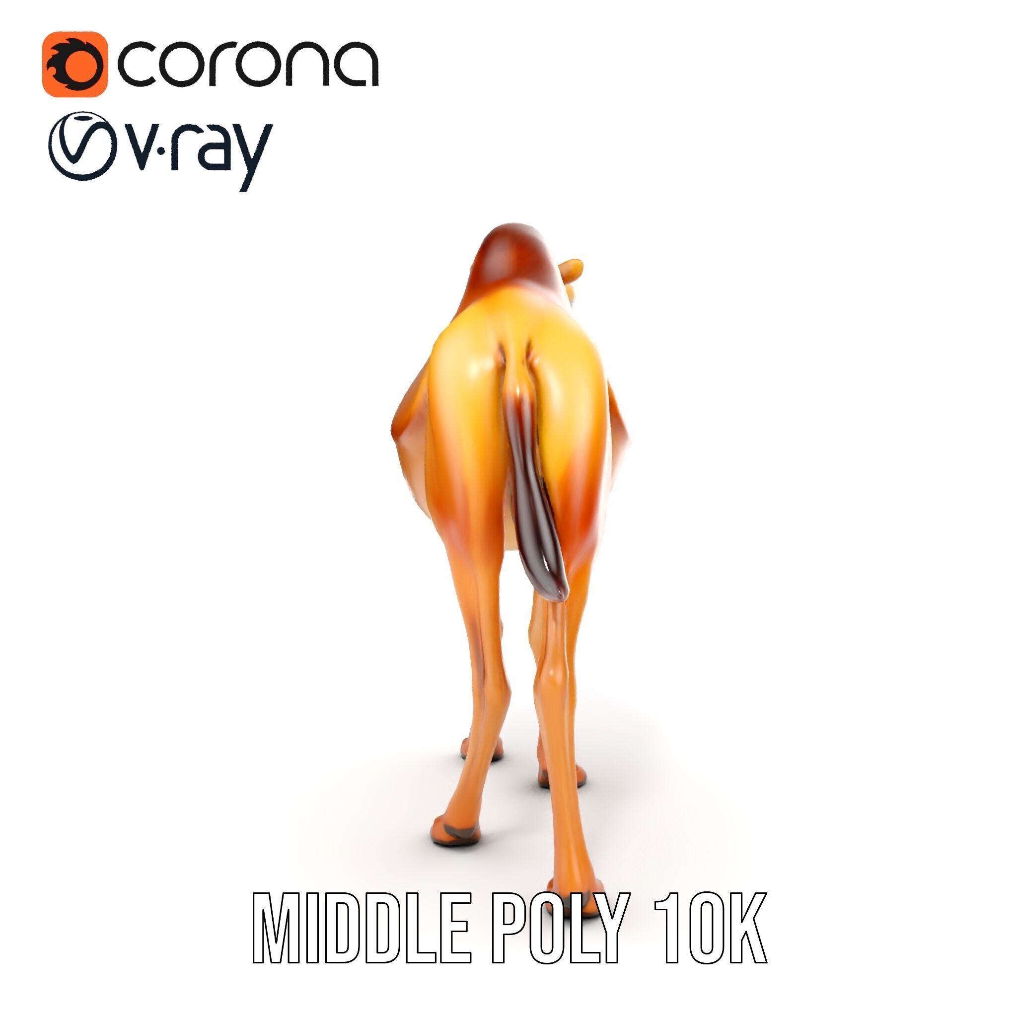 D Camel Model Pack with Detailed Fur Texture Low-poly 3D model_20