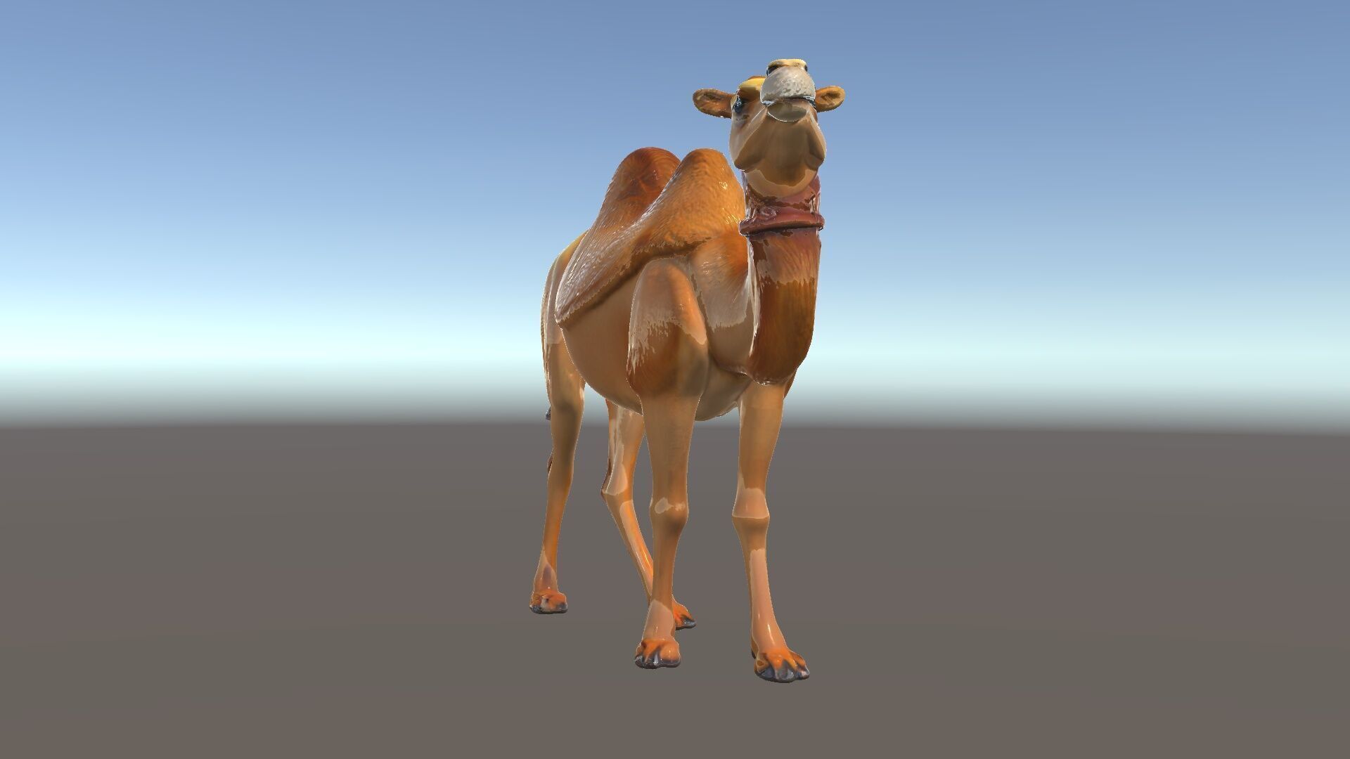 D Camel Model Pack with Detailed Fur Texture Low-poly 3D model_6