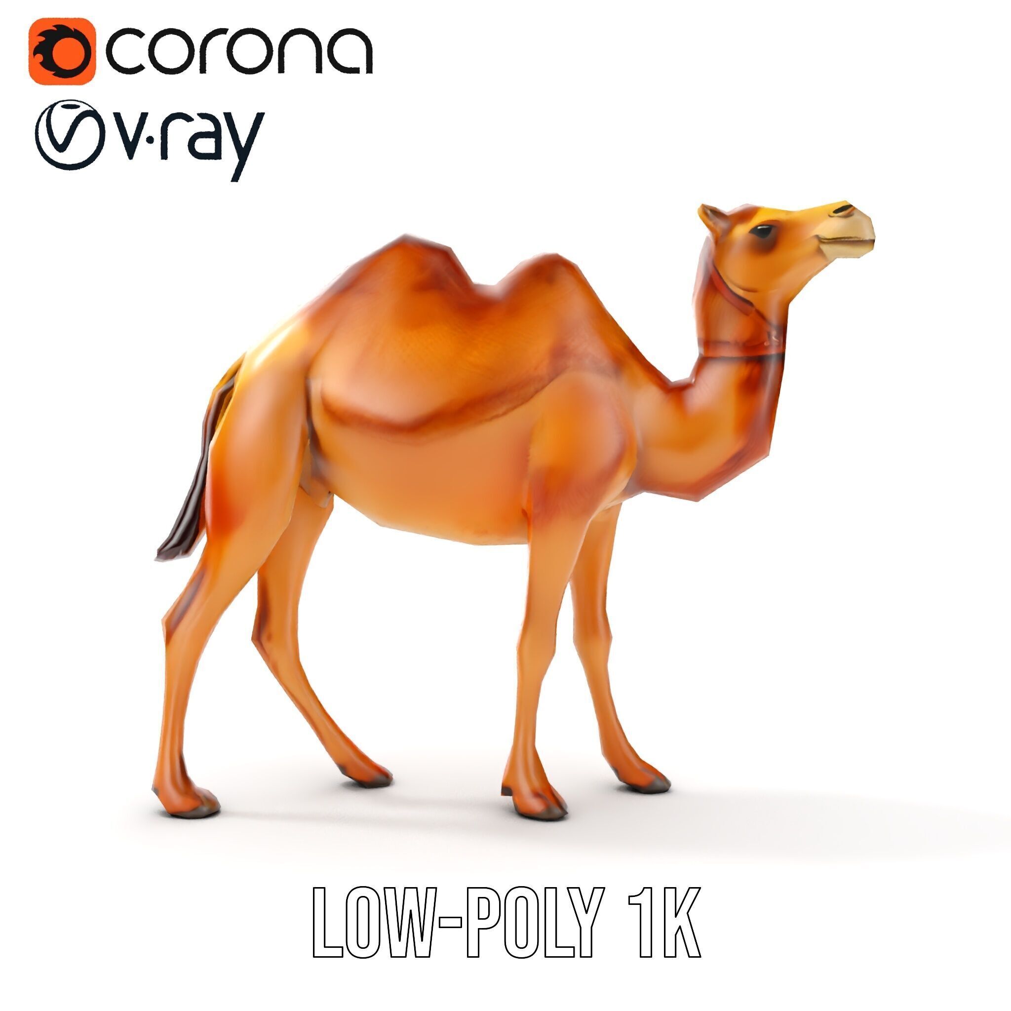 D Camel Model Pack with Detailed Fur Texture Low-poly 3D model_14