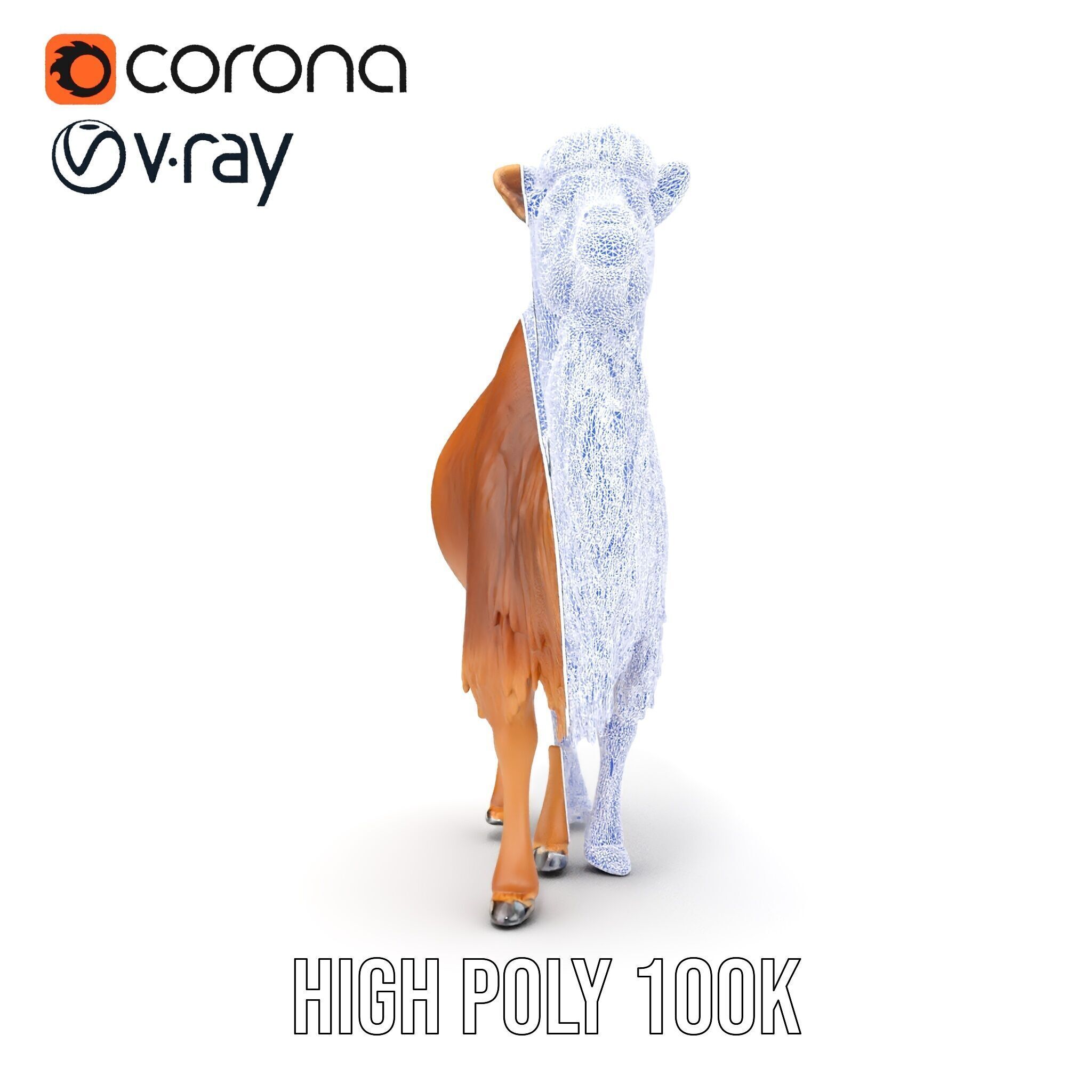 Bactrian Camel Model Pack with Detailed Fur Low-poly 3D model_31