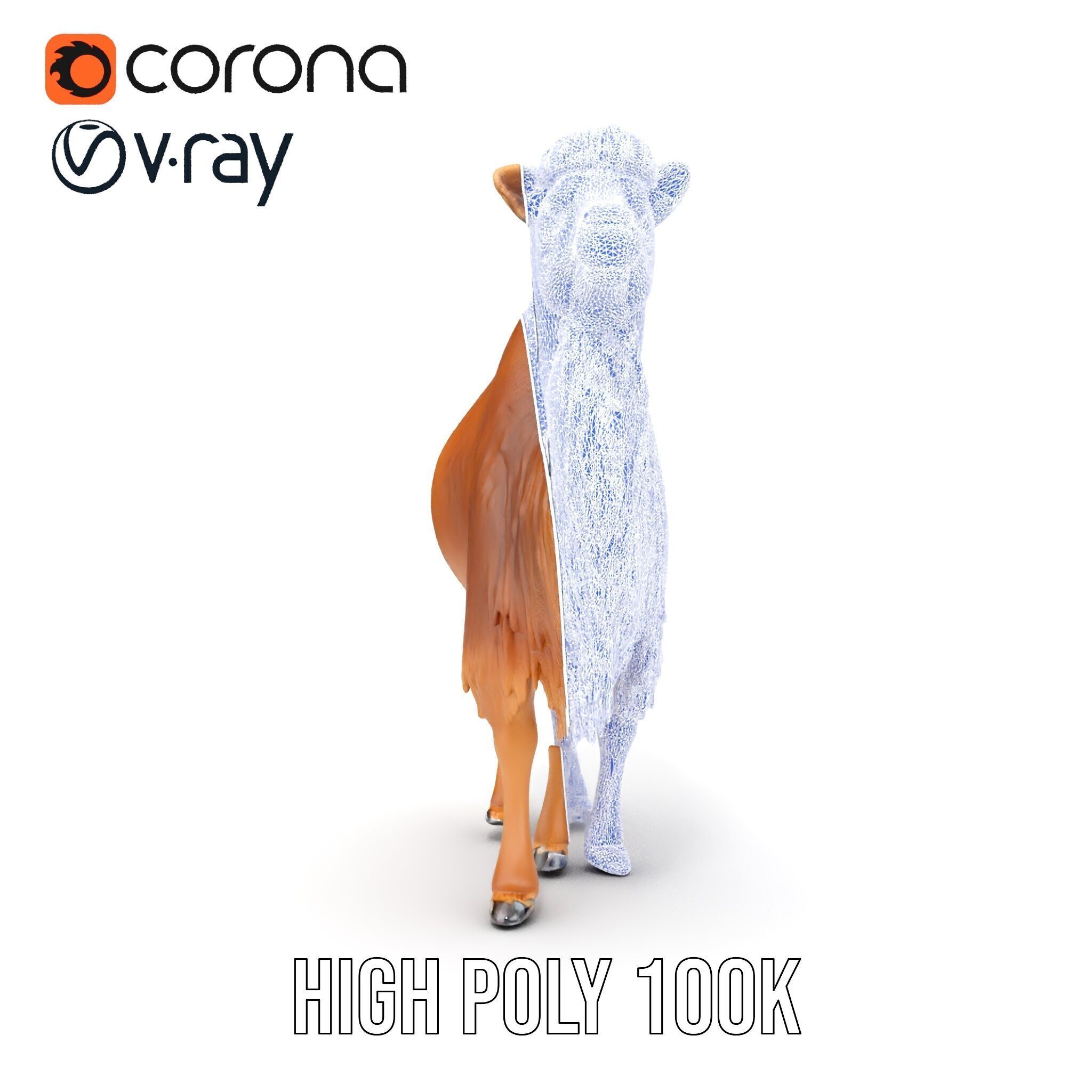 Bactrian Camel Model Pack with Detailed Fur Low-poly 3D model_21