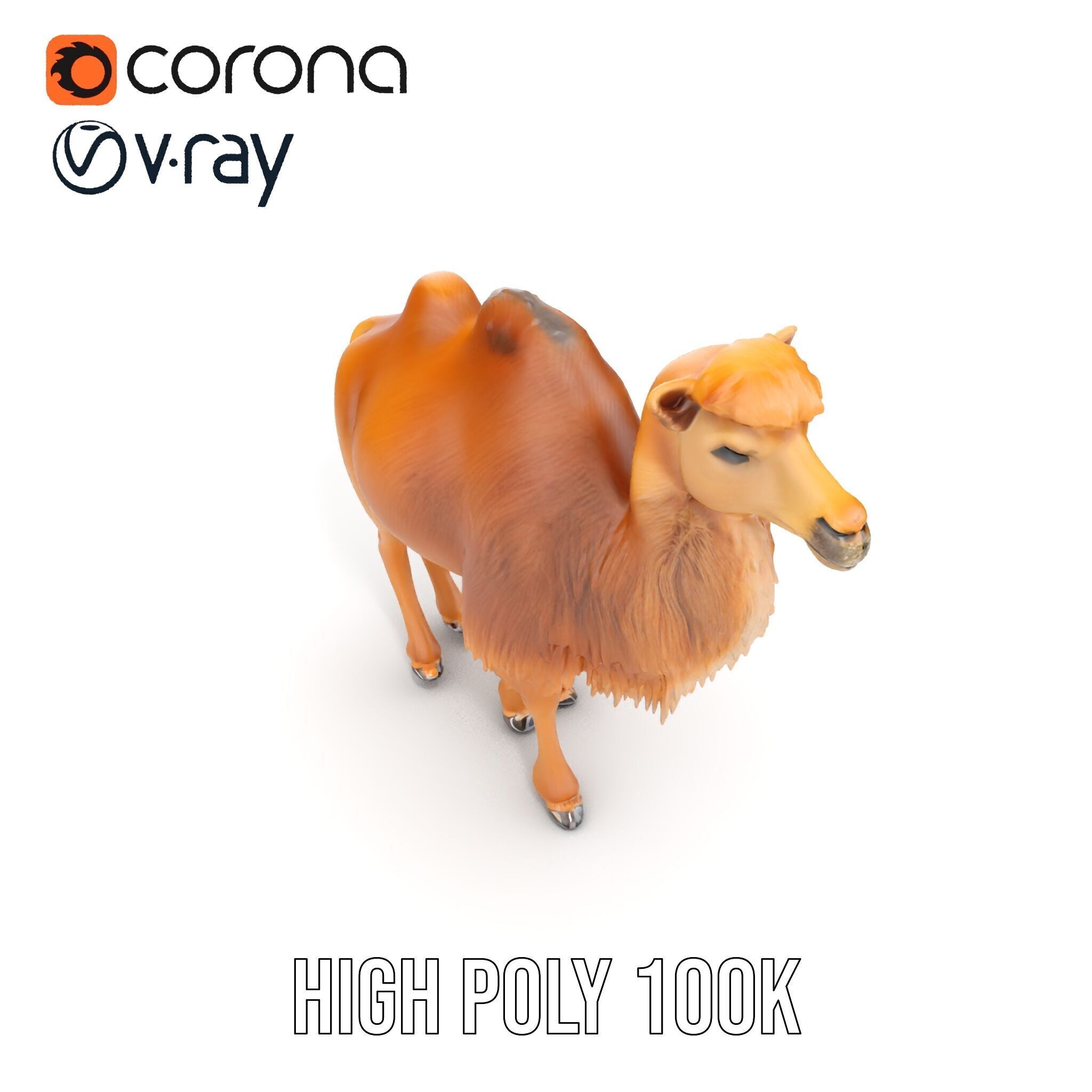 Bactrian Camel Model Pack with Detailed Fur Low-poly 3D model_27