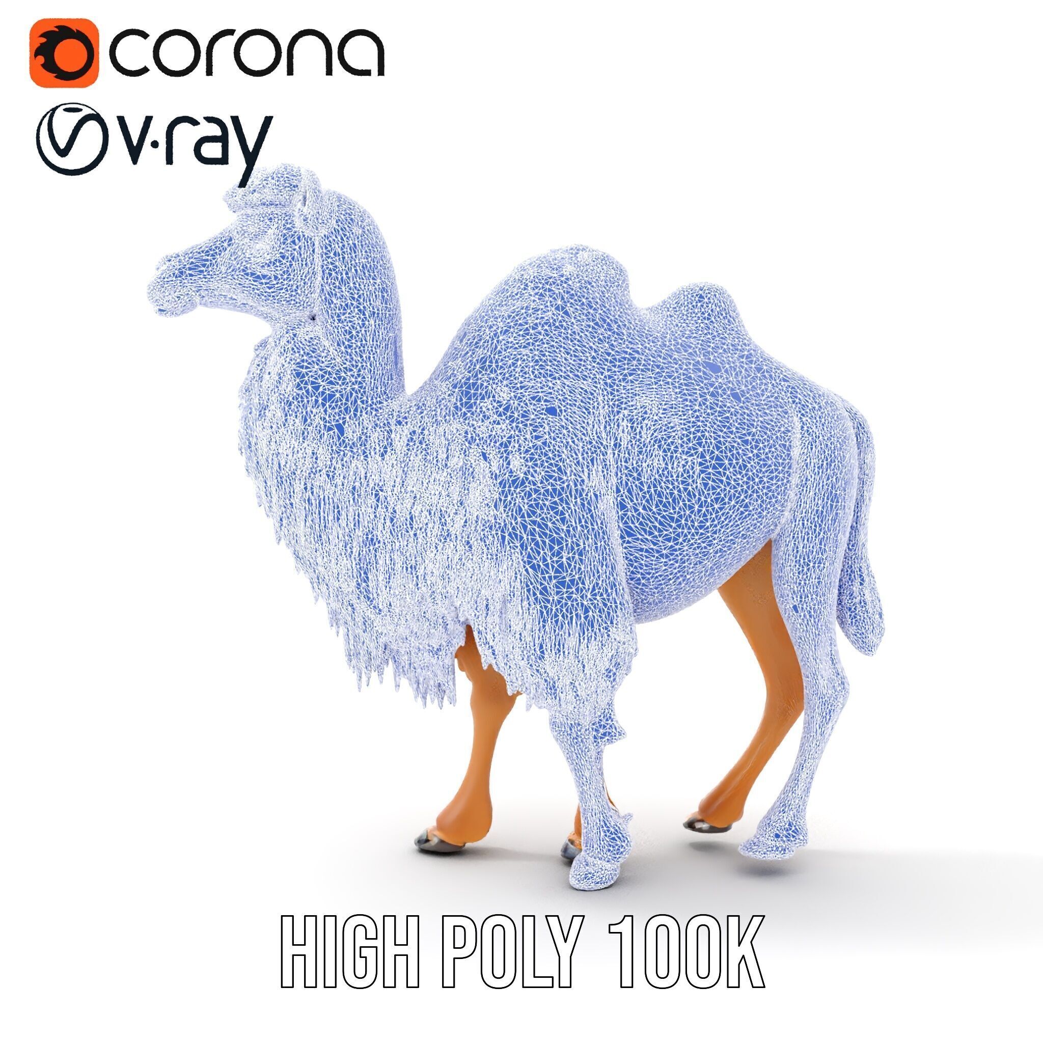 Bactrian Camel Model Pack with Detailed Fur Low-poly 3D model_37