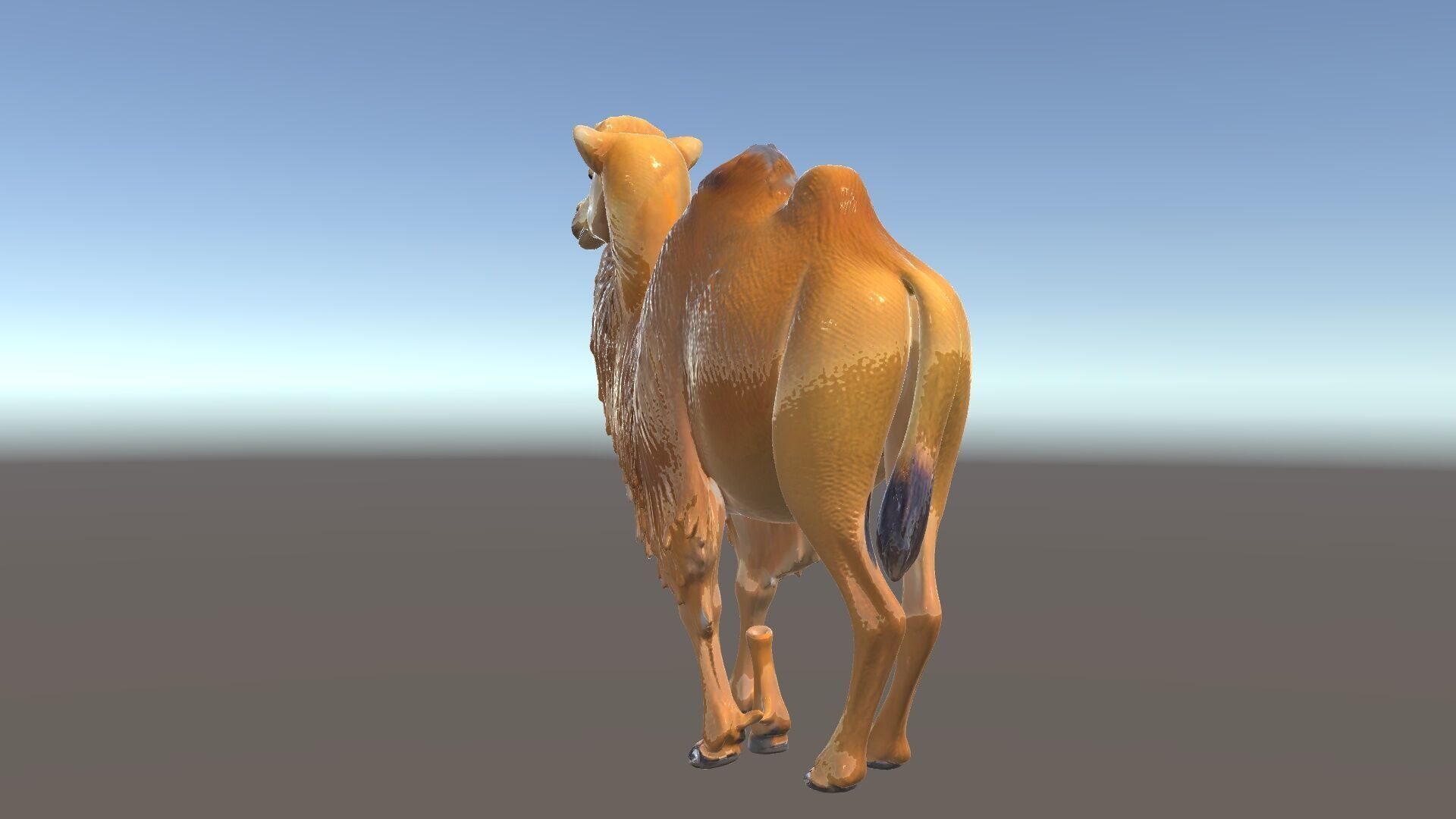 Bactrian Camel Model Pack with Detailed Fur Low-poly 3D model_35