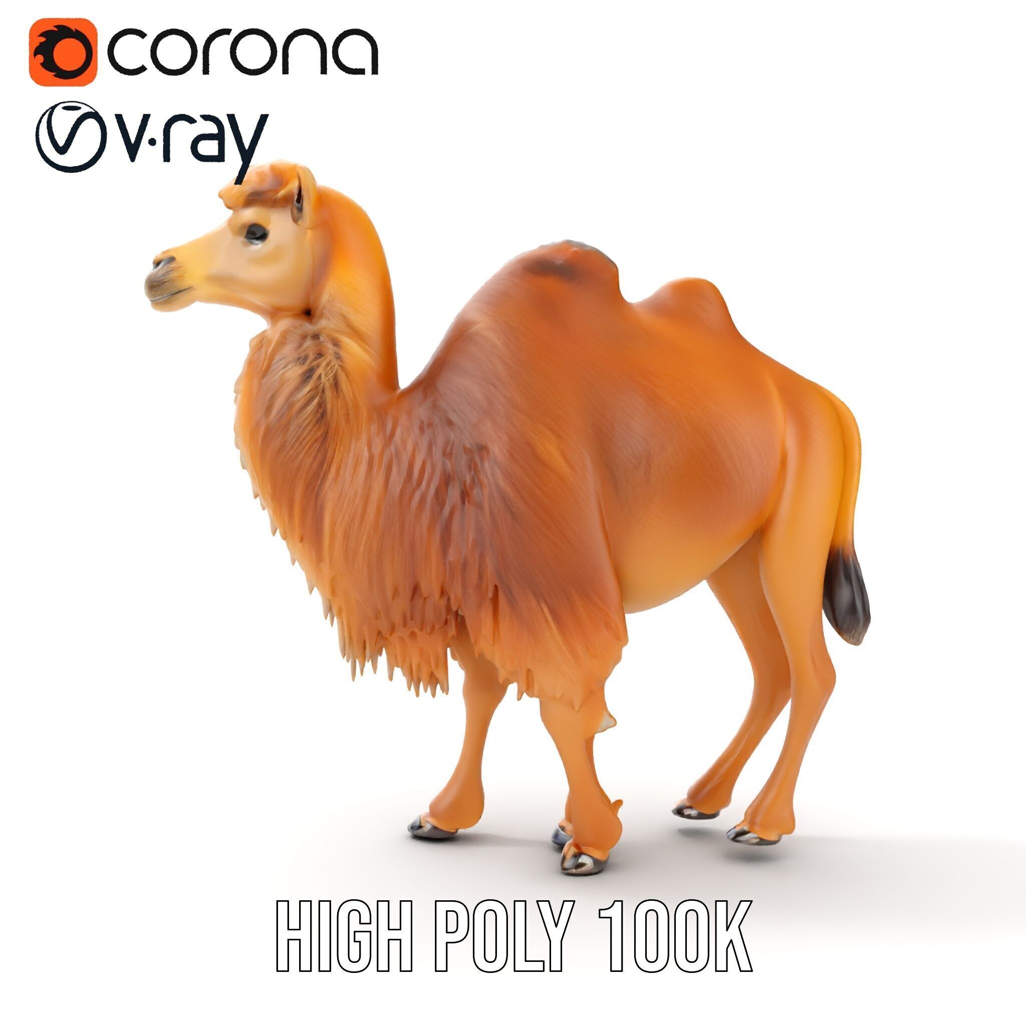 Bactrian Camel Model Pack with Detailed Fur Low-poly 3D model_18