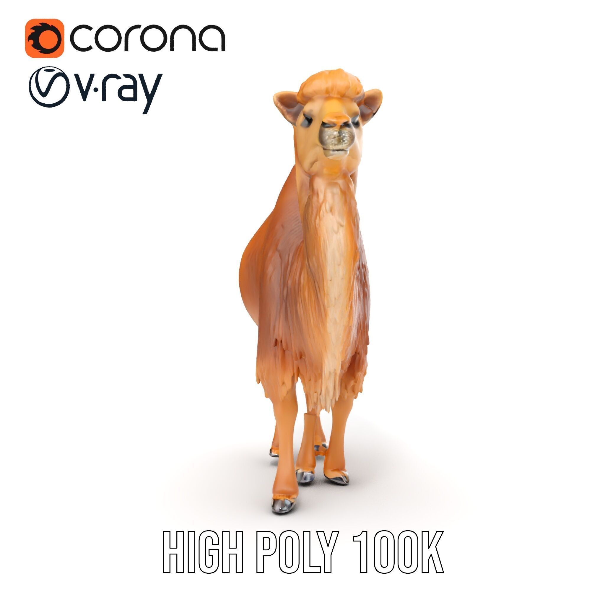 Bactrian Camel Model Pack with Detailed Fur Low-poly 3D model_24