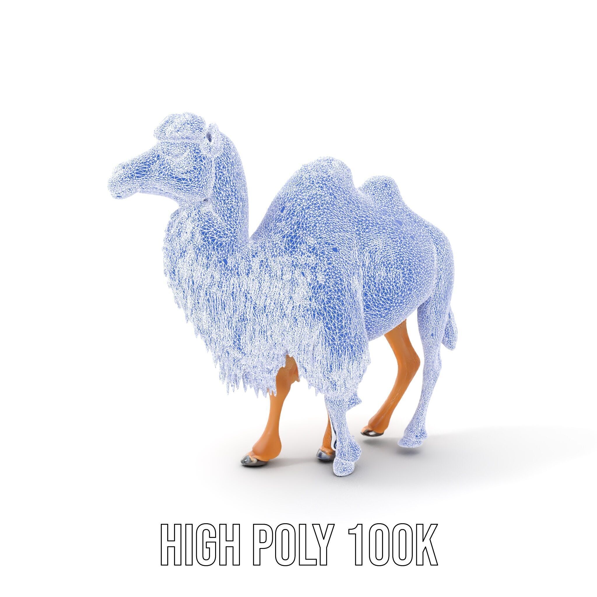 Bactrian Camel Model Pack with Detailed Fur Low-poly 3D model_32