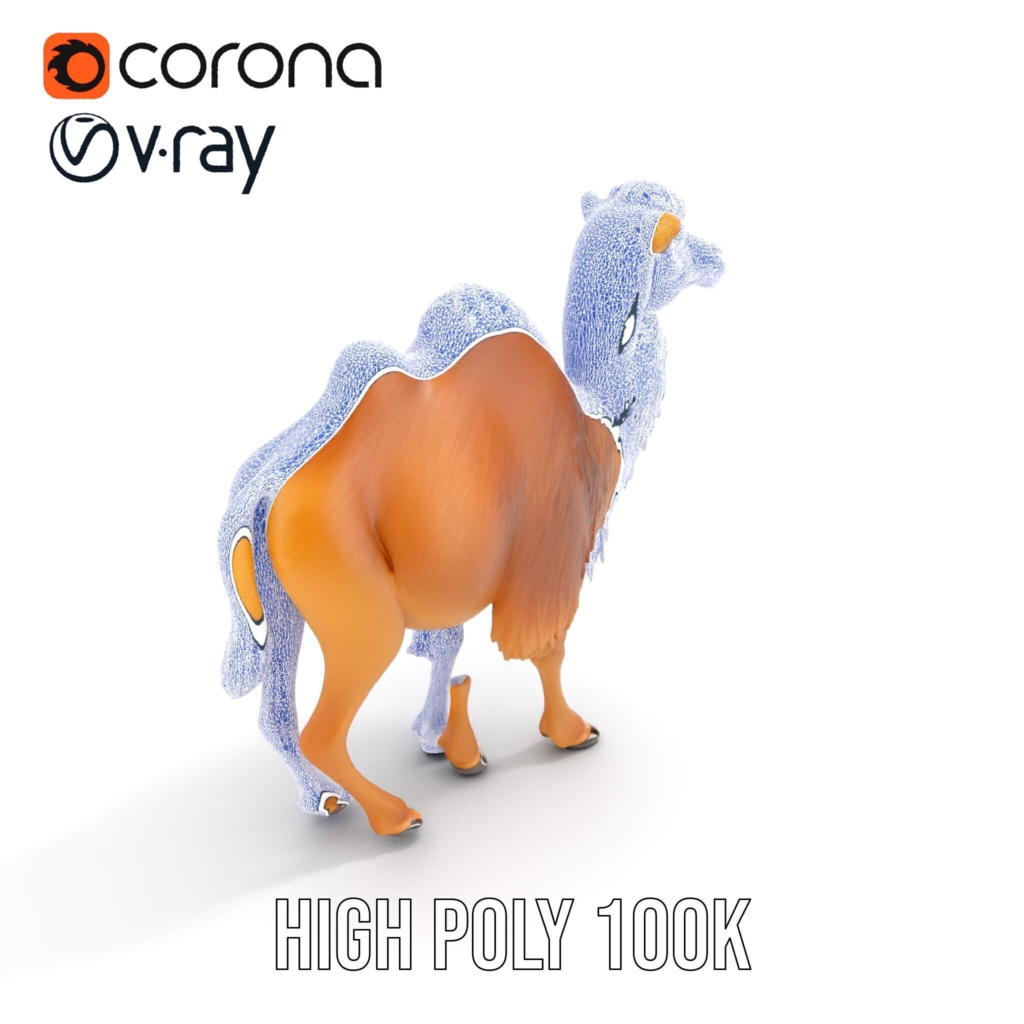 Bactrian Camel Model Pack with Detailed Fur Low-poly 3D model_16