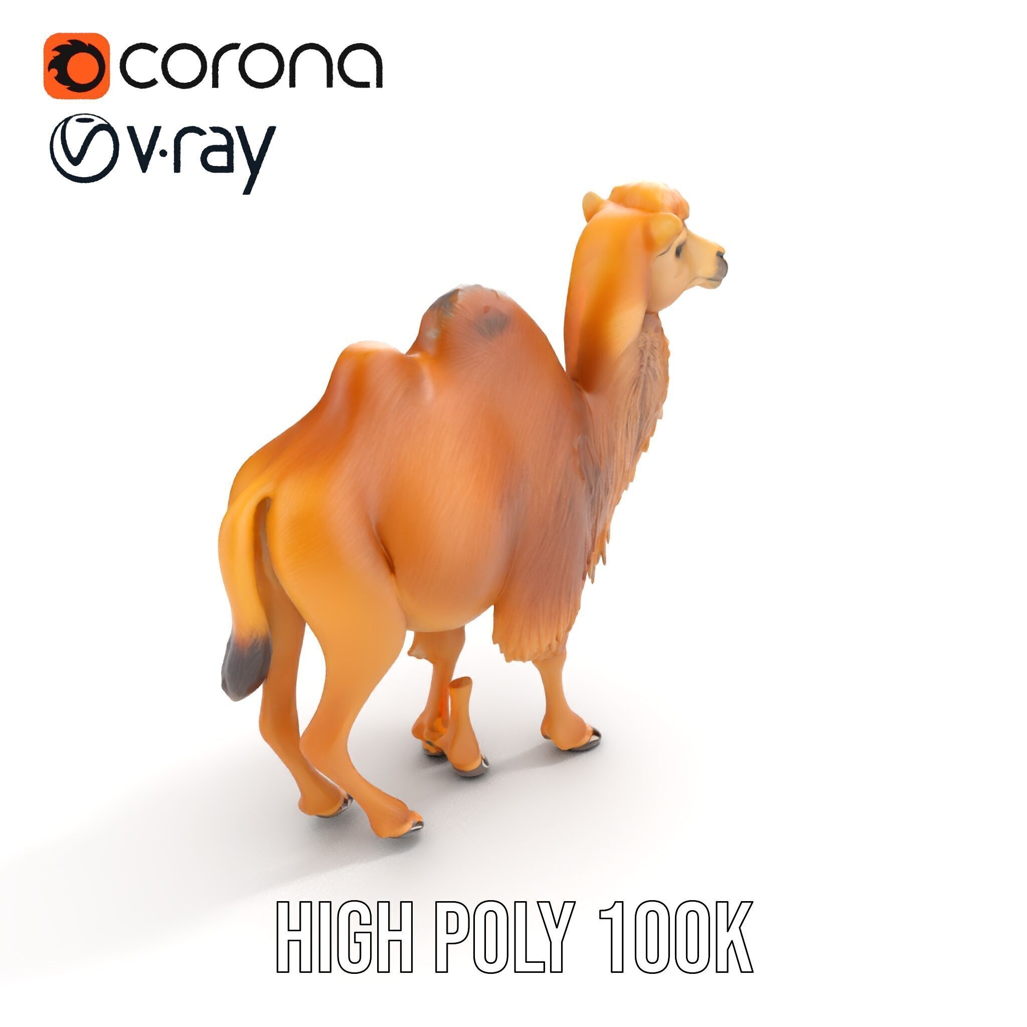 Bactrian Camel Model Pack with Detailed Fur Low-poly 3D model_8