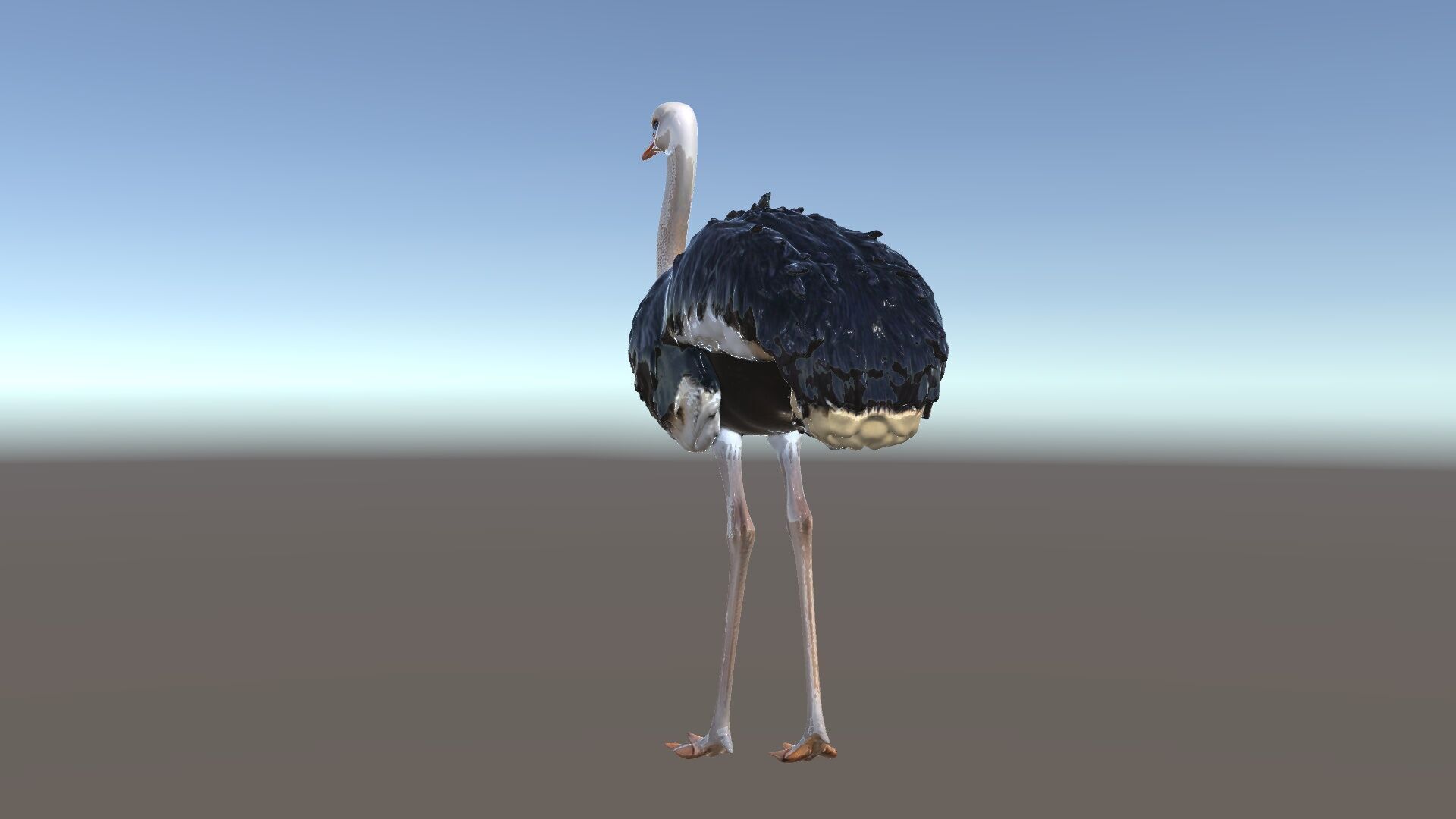 Ostrich Model Pack with Detailed Feather Texture Low-poly 3D model_5